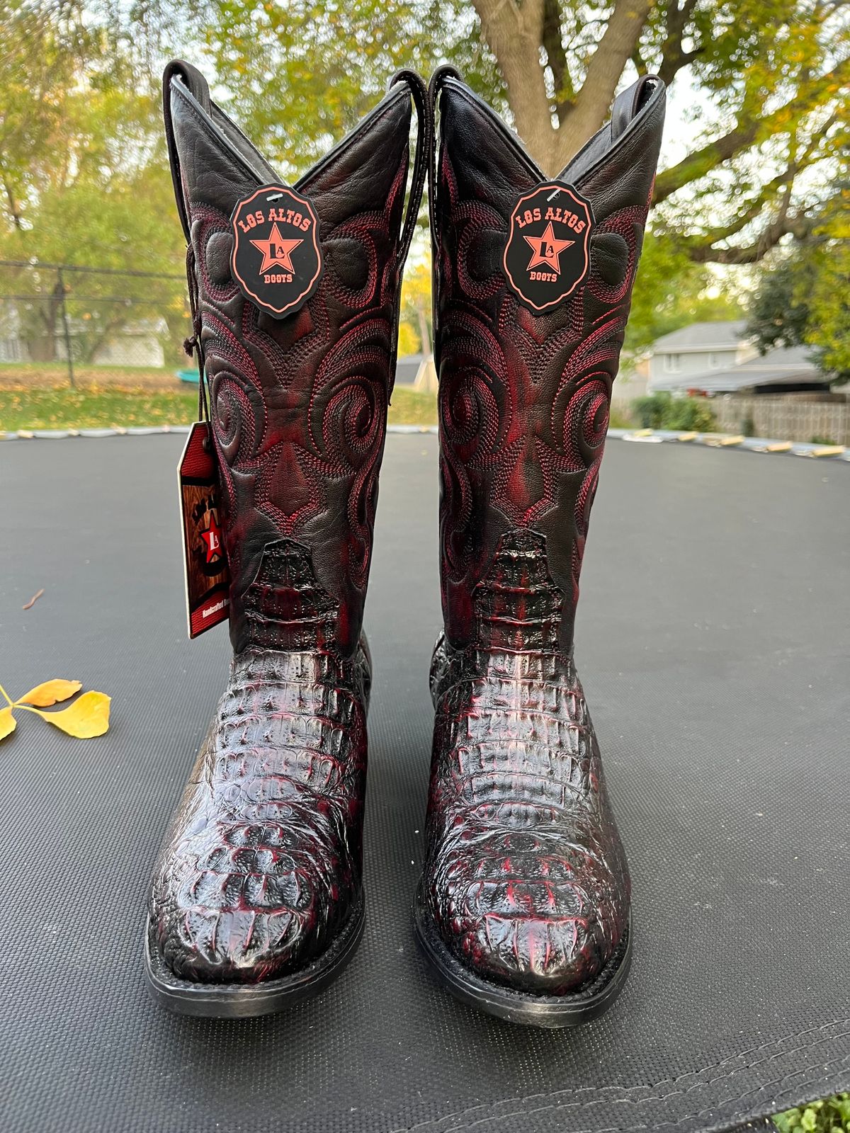Photo by MrSaver on October 1, 2023 of the Los Altos Cowboy boot in Black Cherry Hornback Caiman.