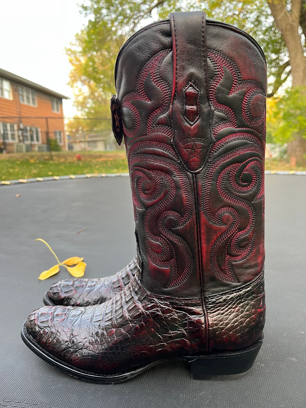 Photo by MrSaver on October 1, 2023 of the Los Altos Cowboy boot in Black Cherry Hornback Caiman.