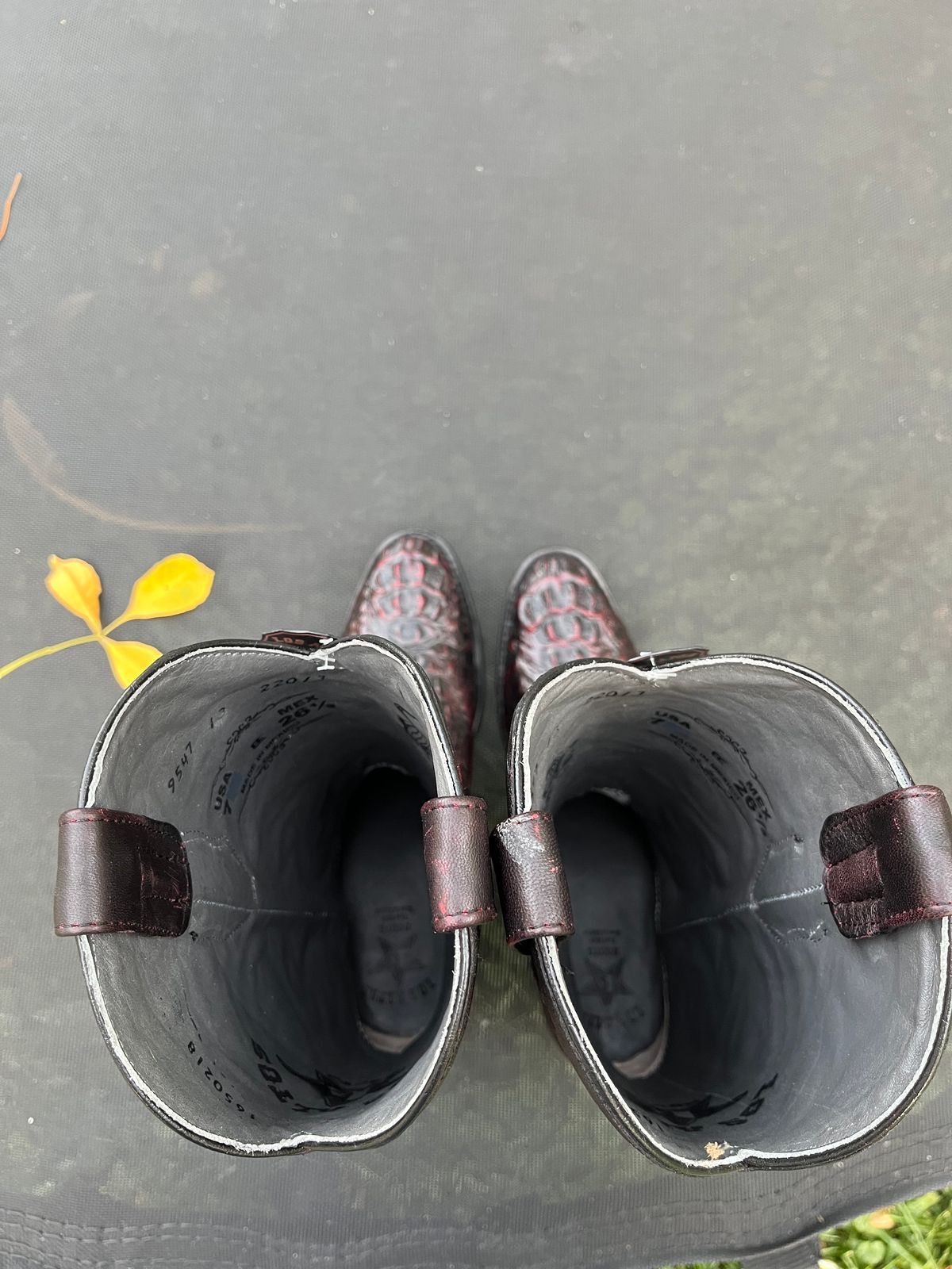 Photo by MrSaver on October 1, 2023 of the Los Altos Cowboy boot in Black Cherry Hornback Caiman.