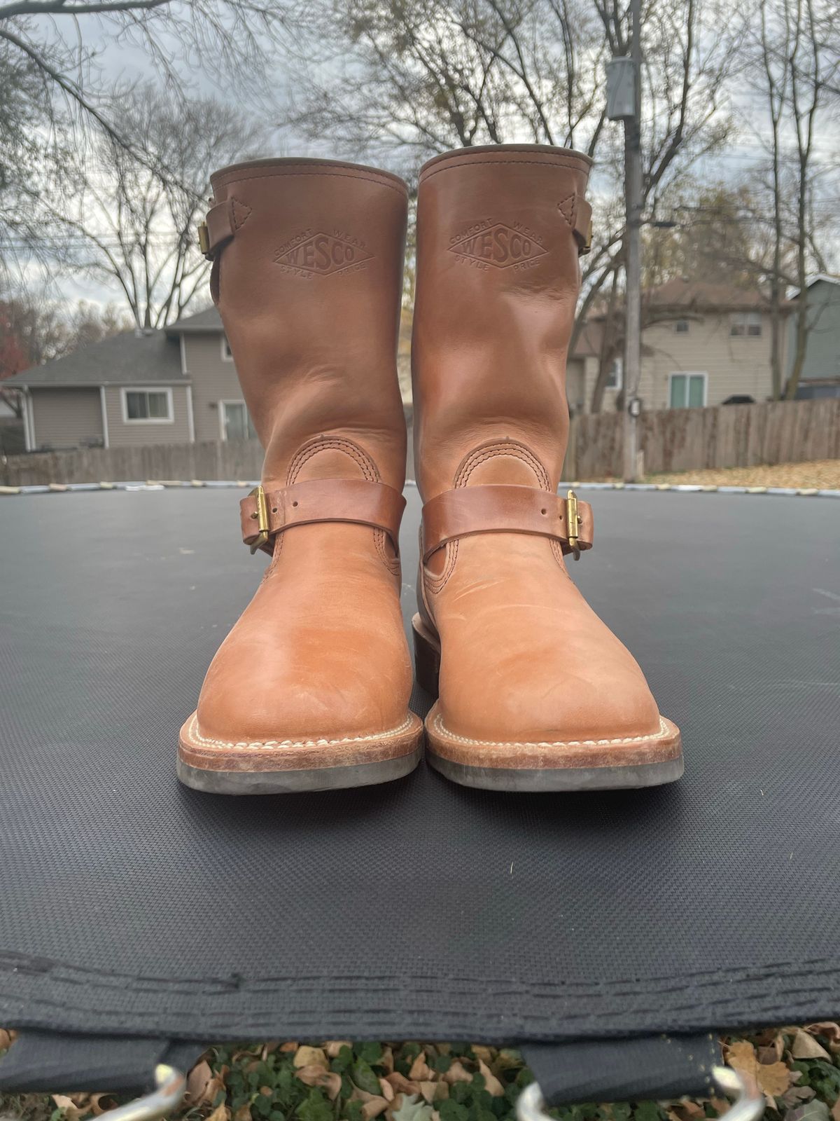 Photo by MrSaver on November 3, 2022 of the Wesco Mister Lou in Maryam Natural Horsebutt.