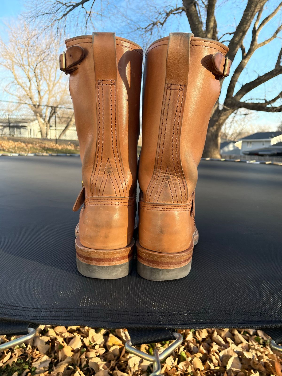 Photo by MrSaver on December 4, 2022 of the Wesco Mister Lou in Maryam Natural Horsebutt.