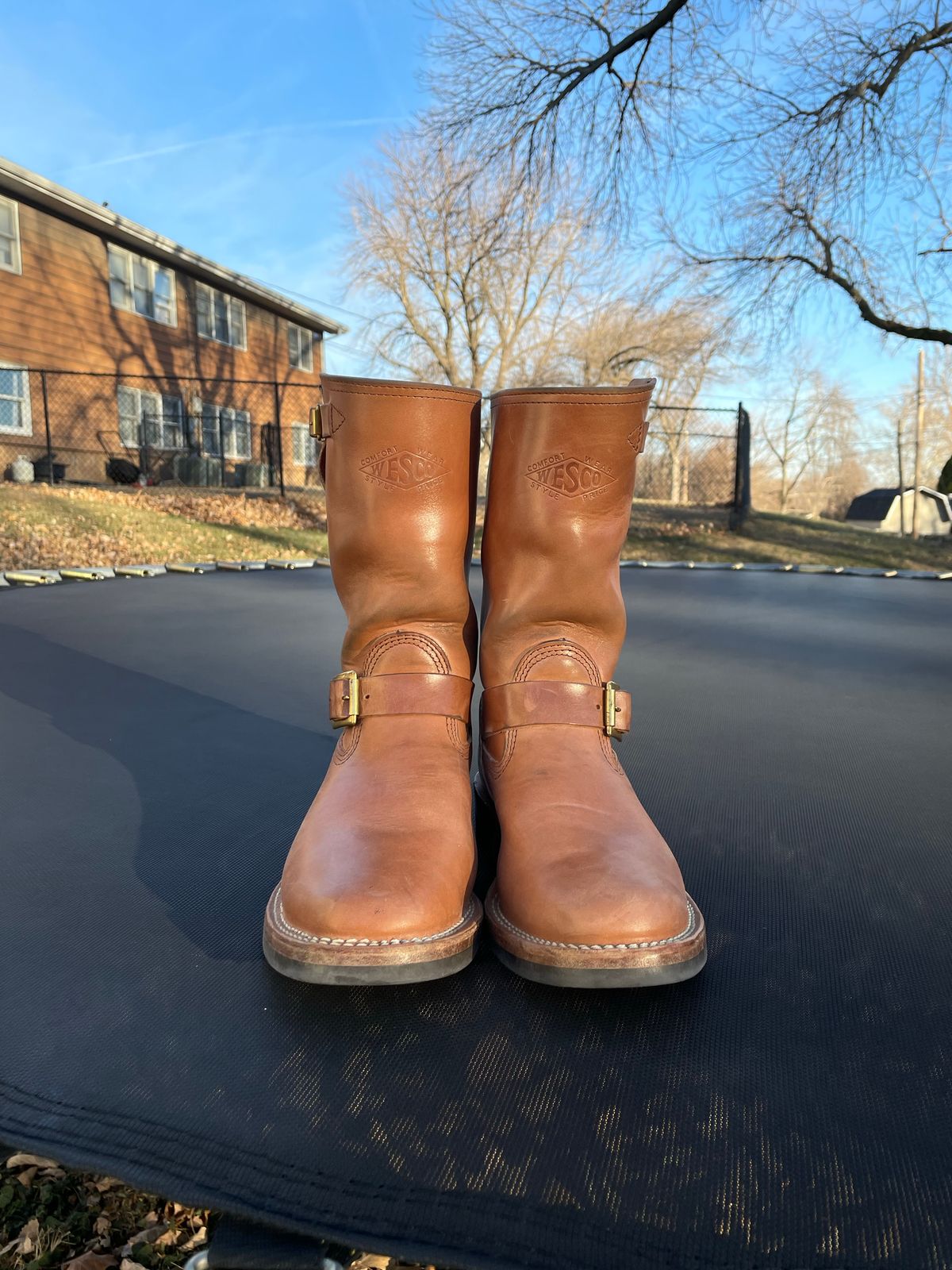 Photo by MrSaver on December 4, 2022 of the Wesco Mister Lou in Maryam Natural Horsebutt.