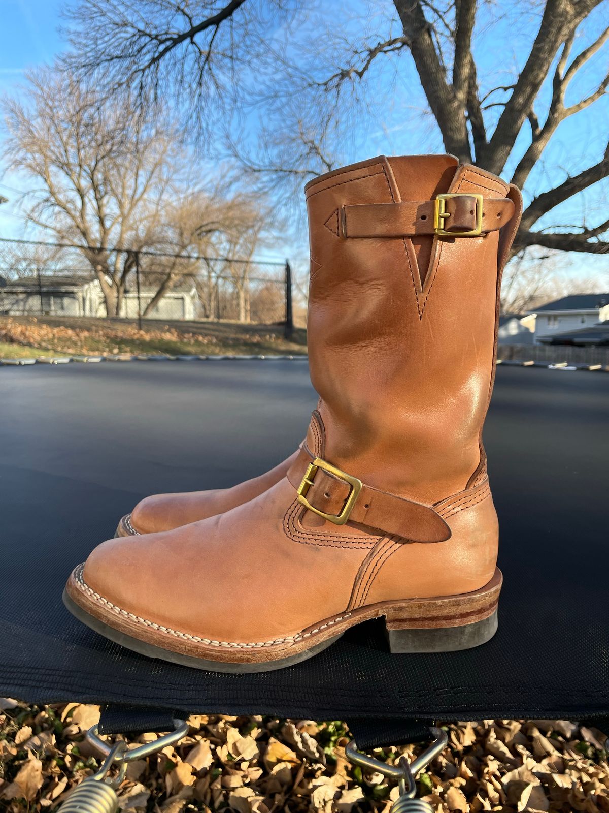 Photo by MrSaver on December 4, 2022 of the Wesco Mister Lou in Maryam Natural Horsebutt.