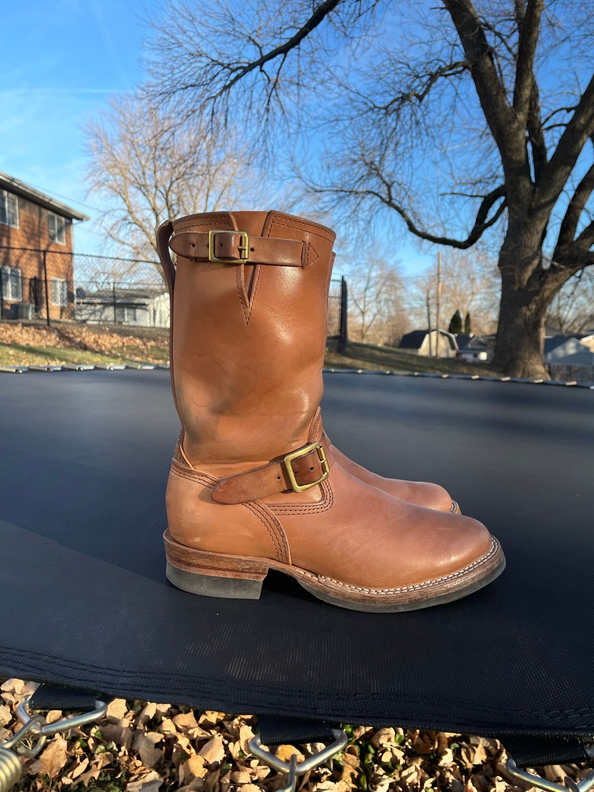Photo by MrSaver on December 4, 2022 of the Wesco Mister Lou in Maryam Natural Horsebutt.