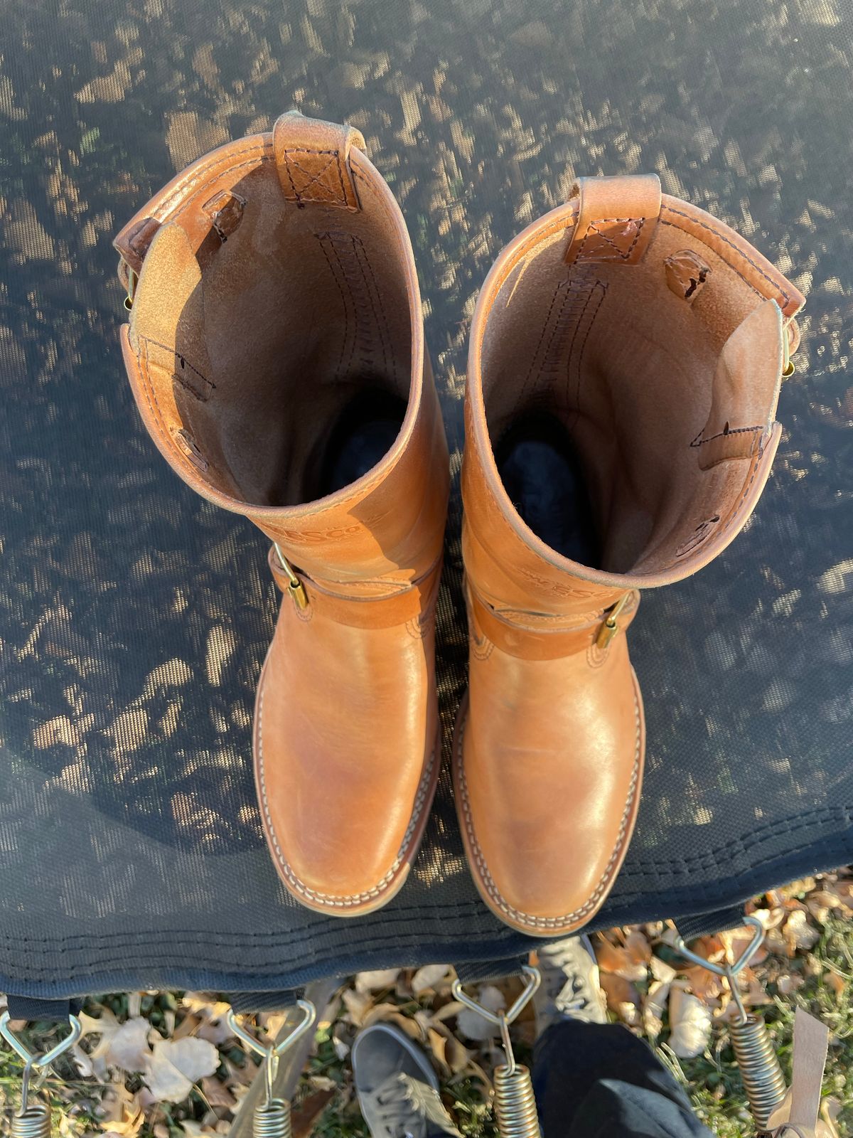 Photo by MrSaver on December 4, 2022 of the Wesco Mister Lou in Maryam Natural Horsebutt.