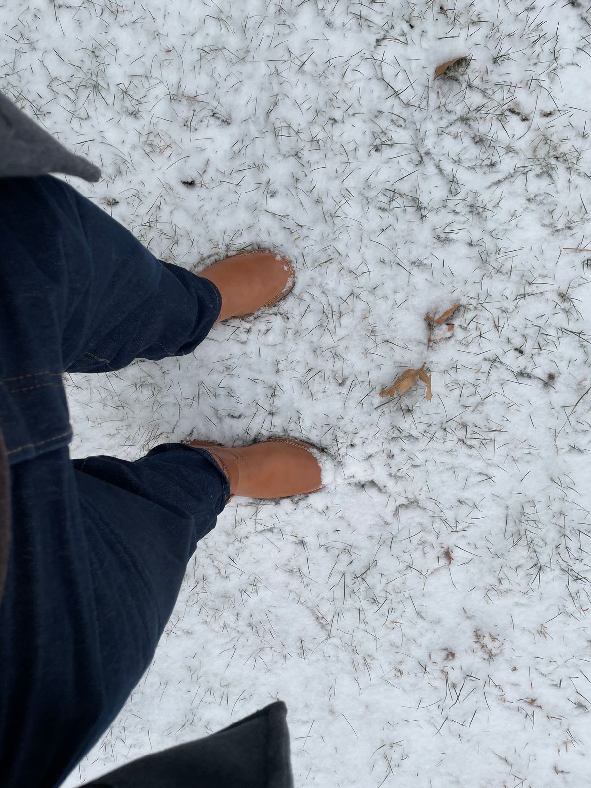 Photo by MrSaver on January 2, 2023 of the Wesco Mister Lou in Maryam Natural Horsebutt.