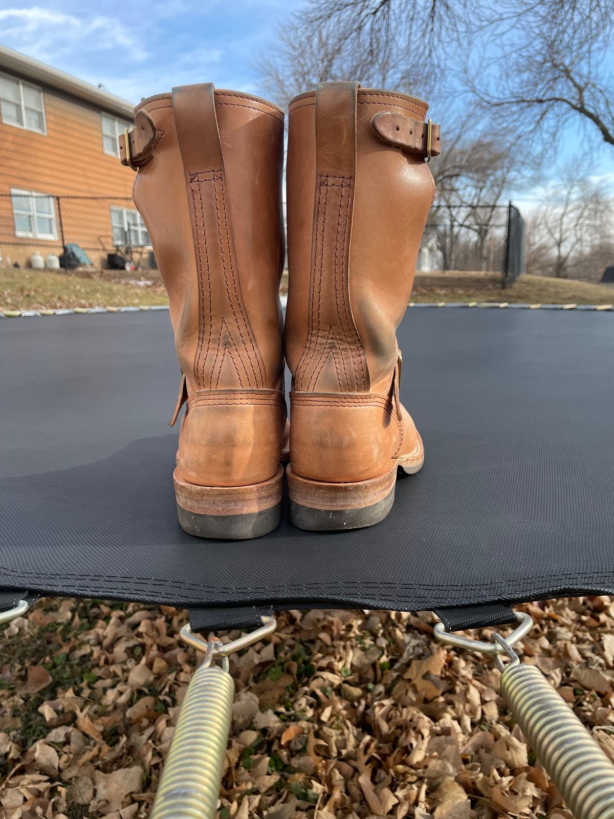 Photo by MrSaver on January 2, 2023 of the Wesco Mister Lou in Maryam Natural Horsebutt.
