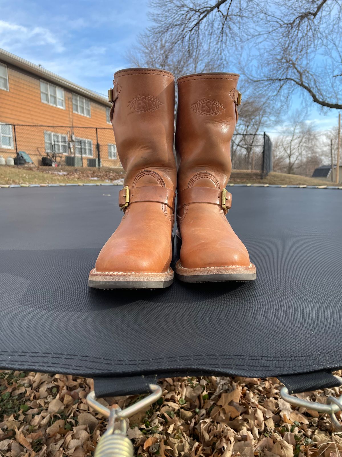 Photo by MrSaver on January 2, 2023 of the Wesco Mister Lou in Maryam Natural Horsebutt.