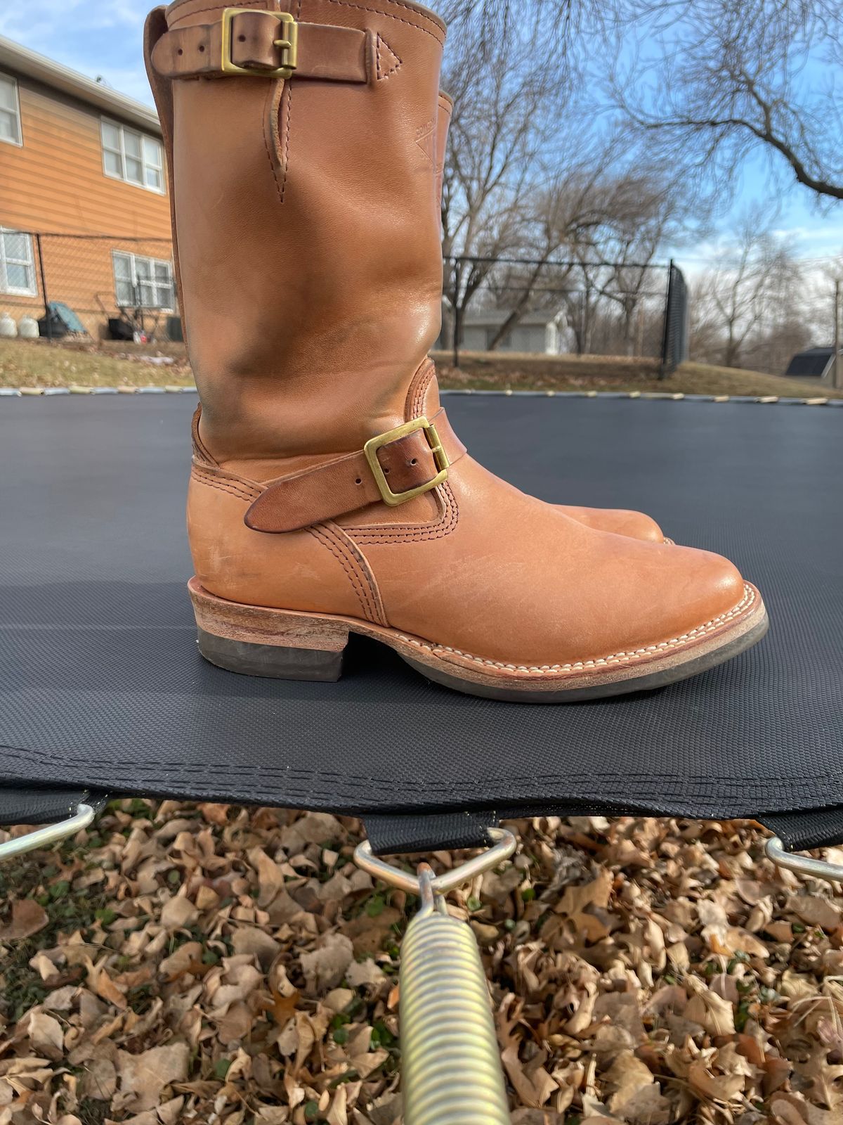 Photo by MrSaver on January 2, 2023 of the Wesco Mister Lou in Maryam Natural Horsebutt.