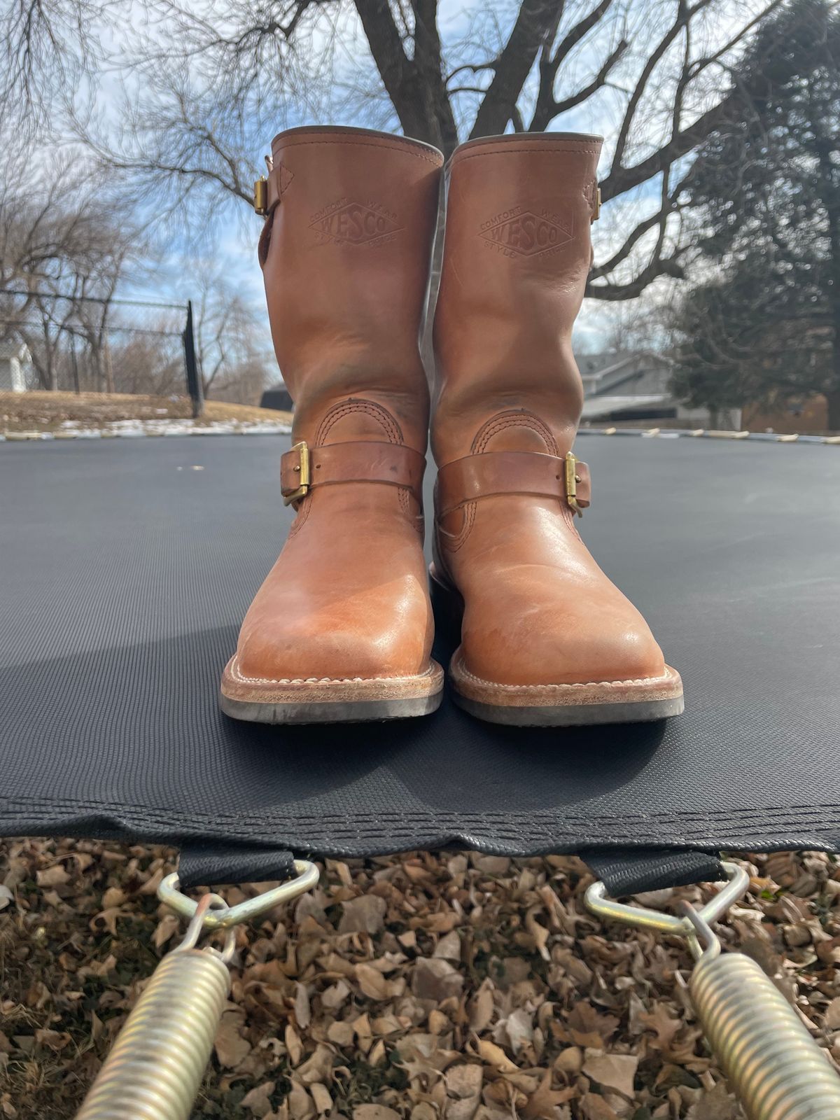 Photo by MrSaver on February 3, 2023 of the Wesco Mister Lou in Maryam Natural Horsebutt.