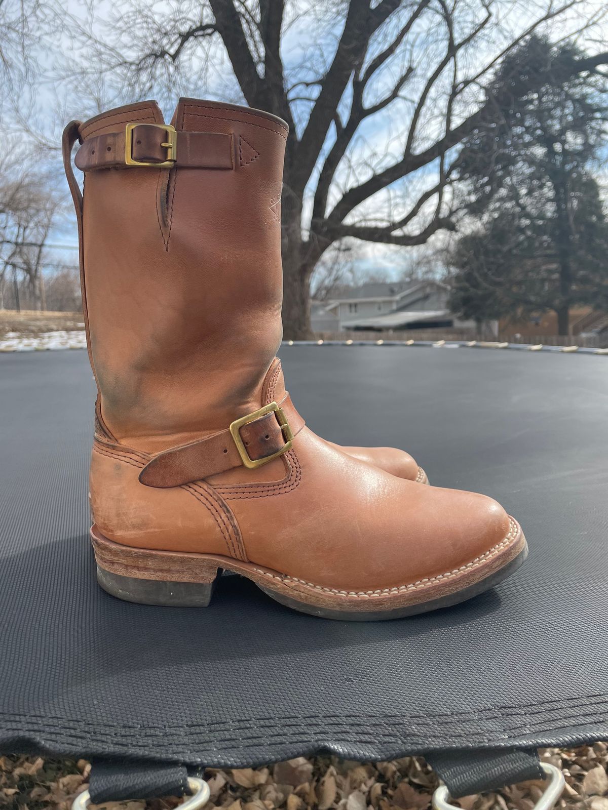 Photo by MrSaver on February 3, 2023 of the Wesco Mister Lou in Maryam Natural Horsebutt.
