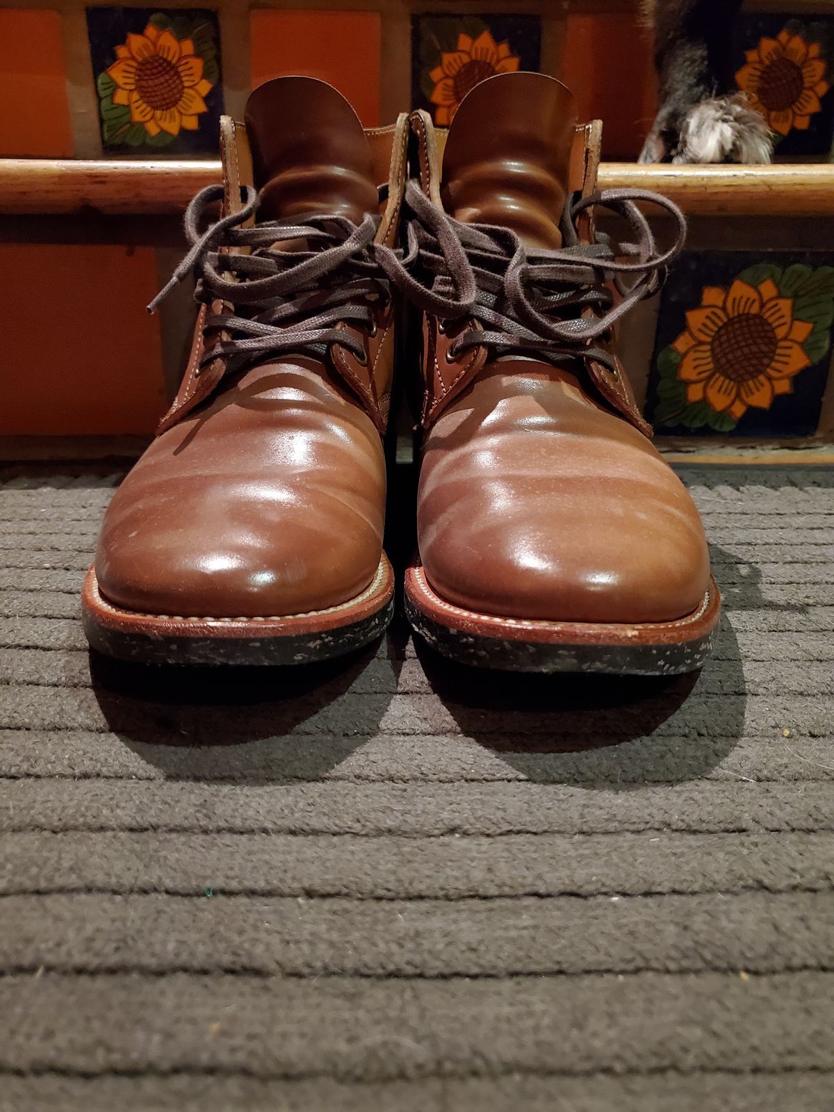 Photo by horsebuttboots on January 6, 2023 of the Quan Shoemaker Unknown Model in Horween Natural Shell Cordovan.