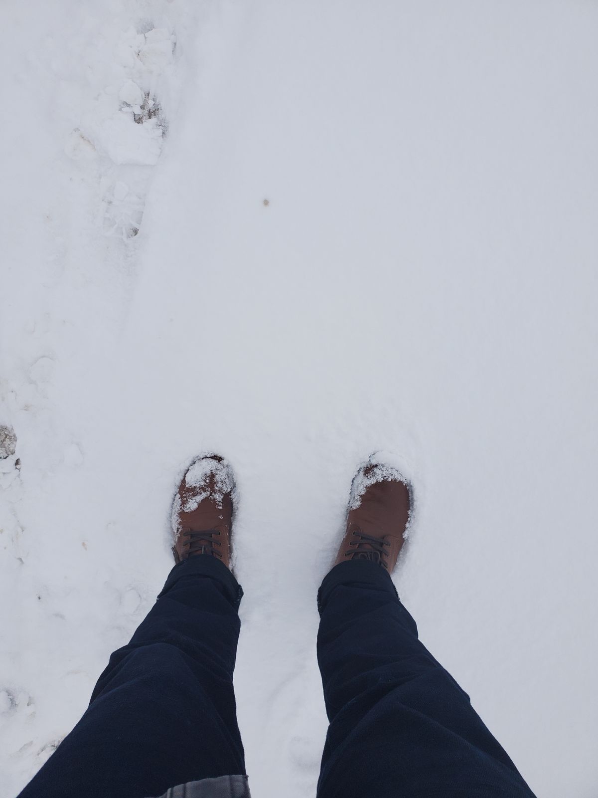 Photo by horsebuttboots on February 1, 2023 of the Quan Shoemaker Unknown Model in Horween Natural Shell Cordovan.
