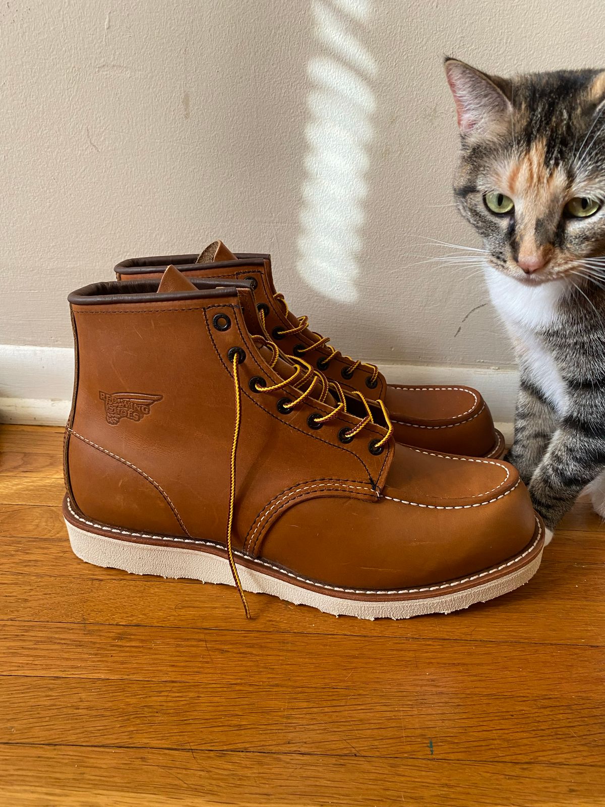 Photo by jslatt on November 2, 2022 of the Red Wing 6-Inch Classic Moc in S.B. Foot Oro Legacy.