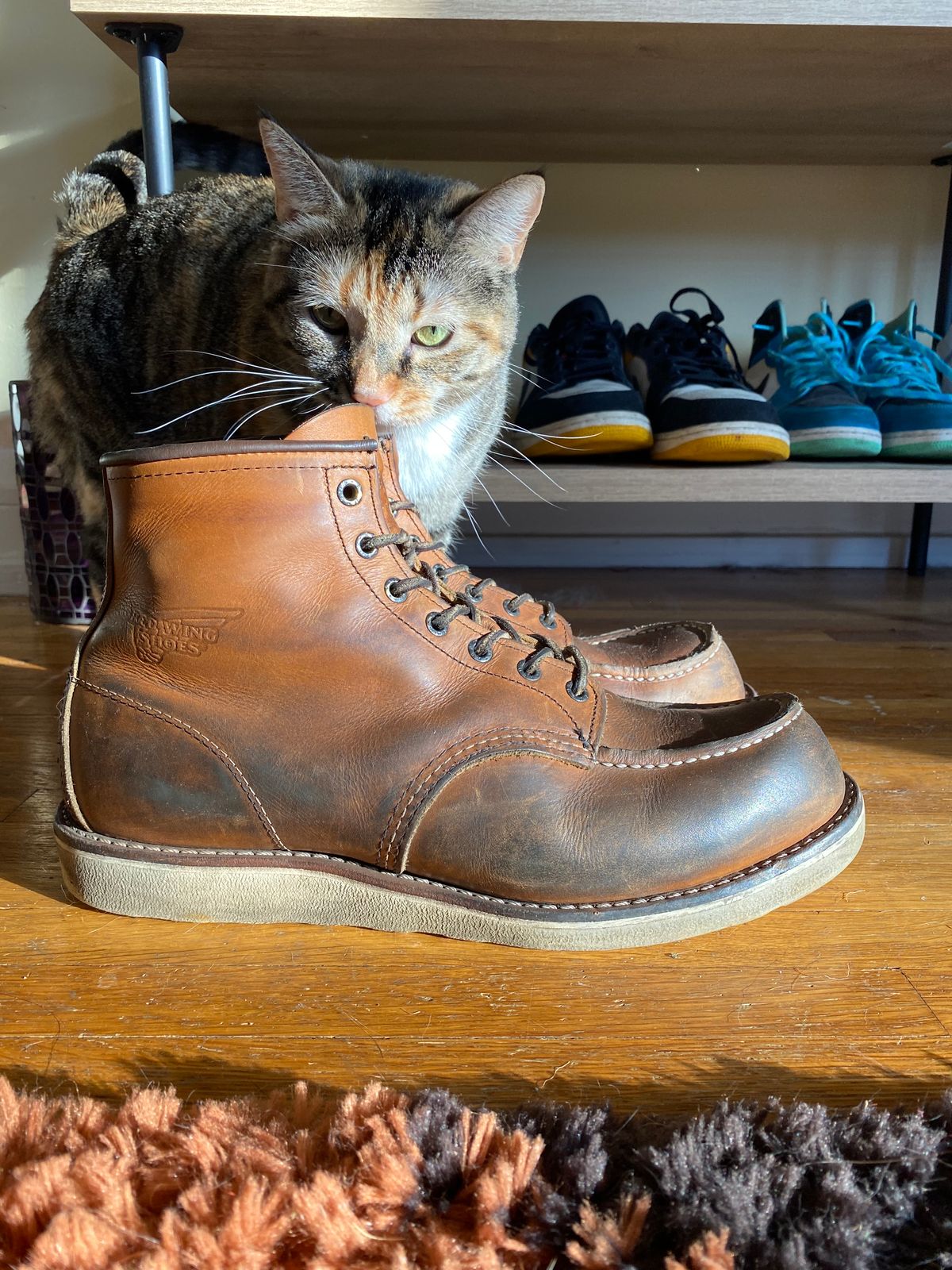 Photo by jslatt on January 4, 2023 of the Red Wing 6-Inch Classic Moc in S.B. Foot Oro Legacy.