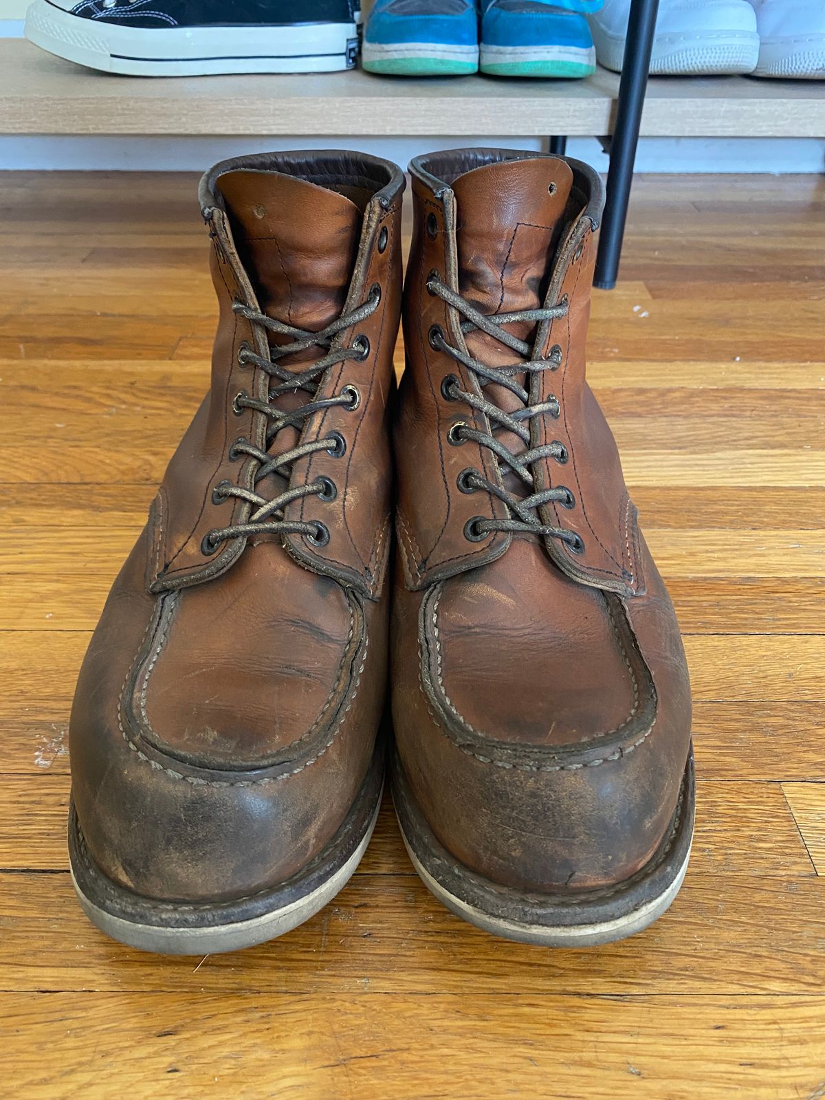 Photo by jslatt on March 6, 2023 of the Red Wing 6-Inch Classic Moc in S.B. Foot Oro Legacy.