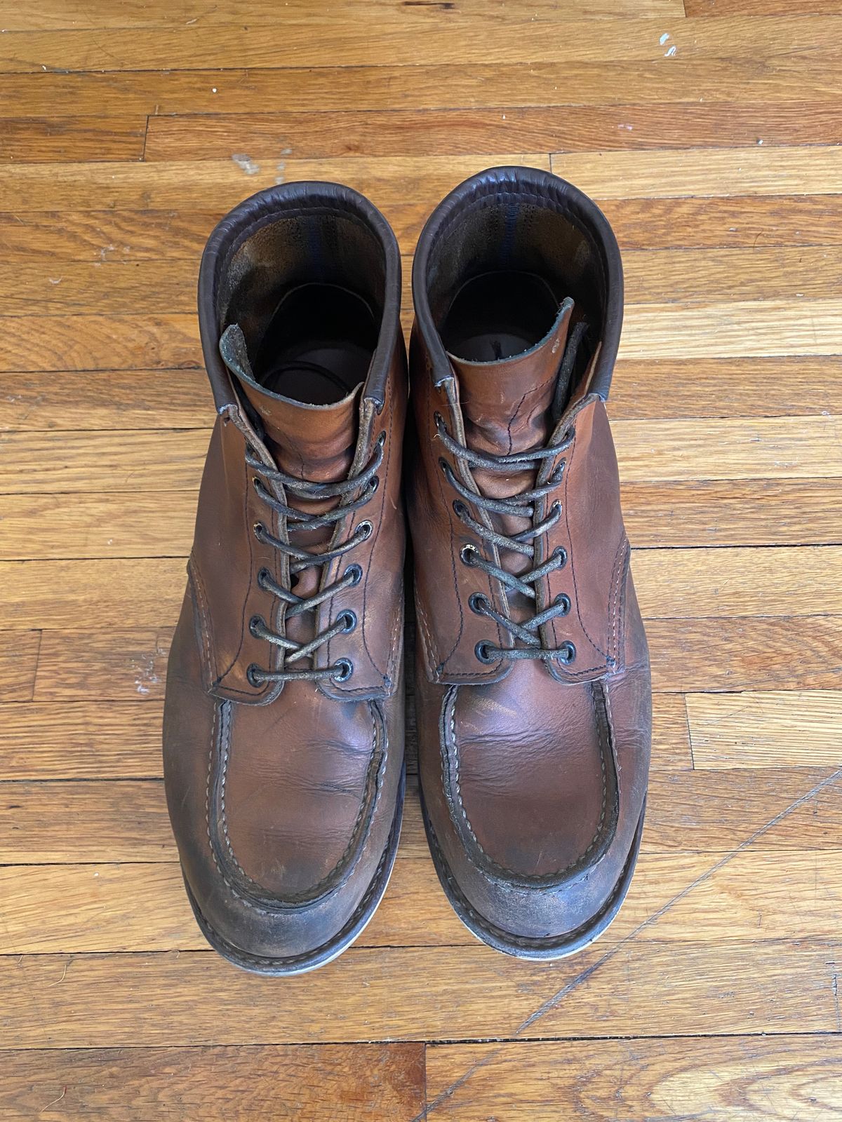 Photo by jslatt on March 6, 2023 of the Red Wing 6-Inch Classic Moc in S.B. Foot Oro Legacy.