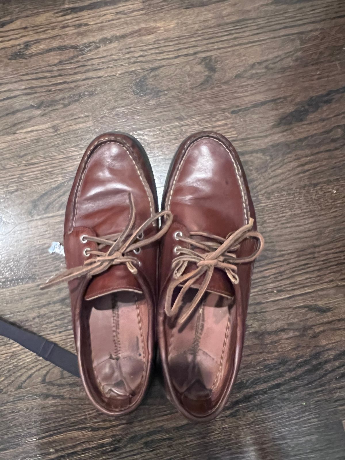 Photo by Snailchang on July 17, 2025 of the Quoddy Blucher in Horween Brown Chromexcel.