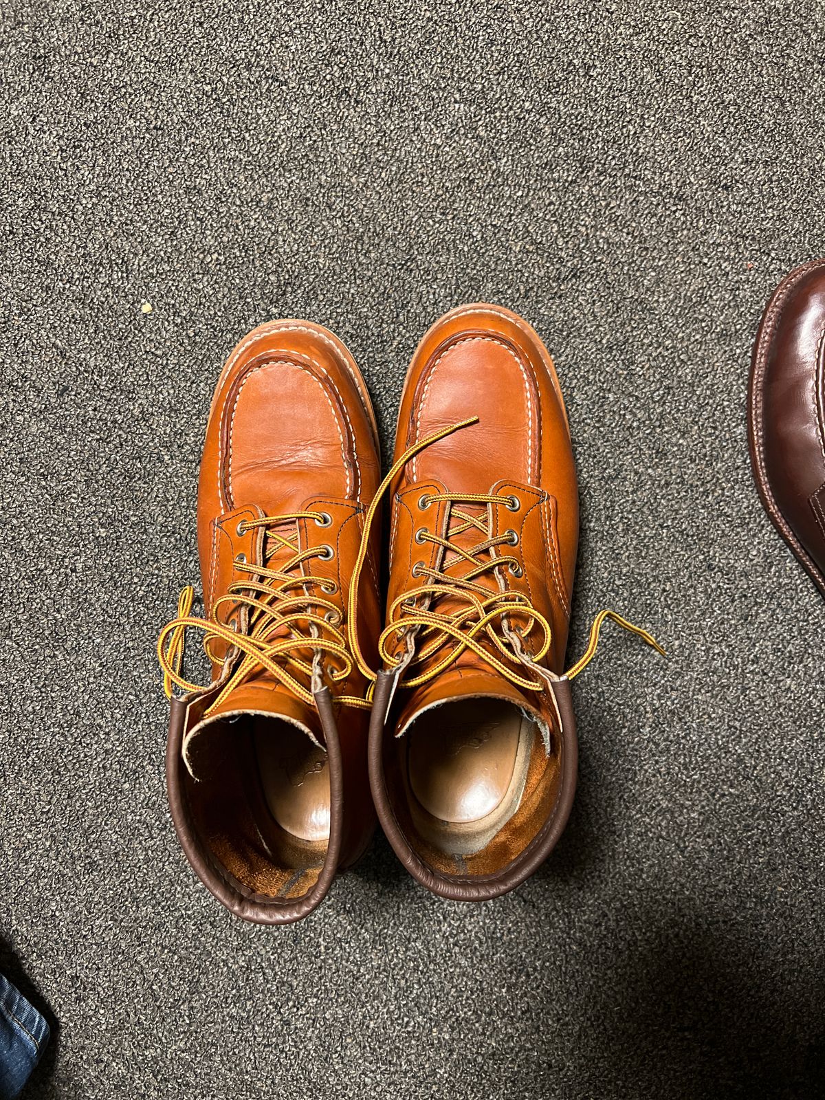 Photo by Snailchang on March 25, 2024 of the Red Wing 6-Inch Classic Moc in S.B. Foot Oro-Iginal.