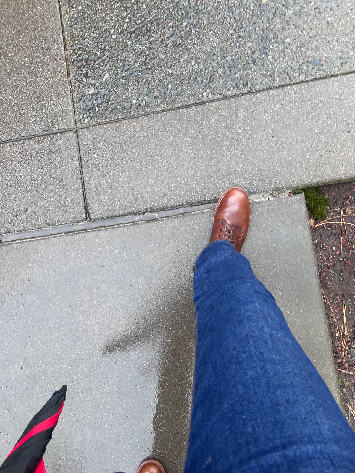 Photo by Snailchang on February 13, 2025 of the Red Wing Beckman in S.B. Foot Cigar Featherstone.