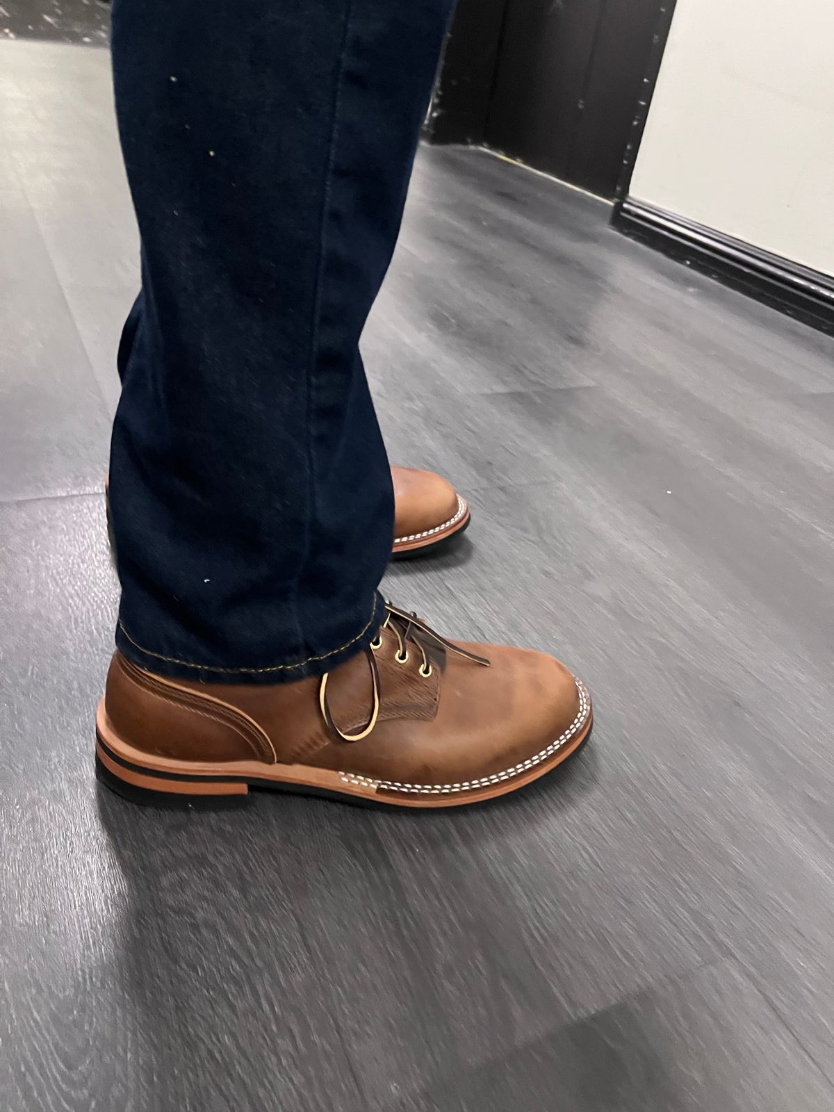 Photo by Snailchang on November 14, 2025 of the Nicks Falcon in Italian Brown Cypress.