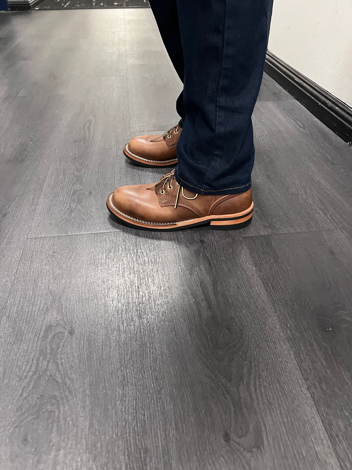 Photo by Snailchang on November 14, 2025 of the Nicks Falcon in Italian Brown Cypress.