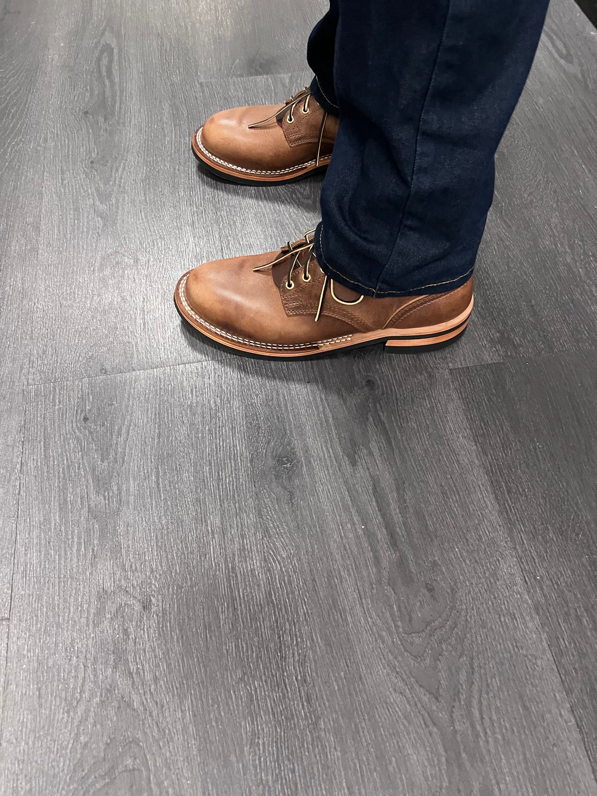 Photo by Snailchang on November 14, 2025 of the Nicks Falcon in Italian Brown Cypress.