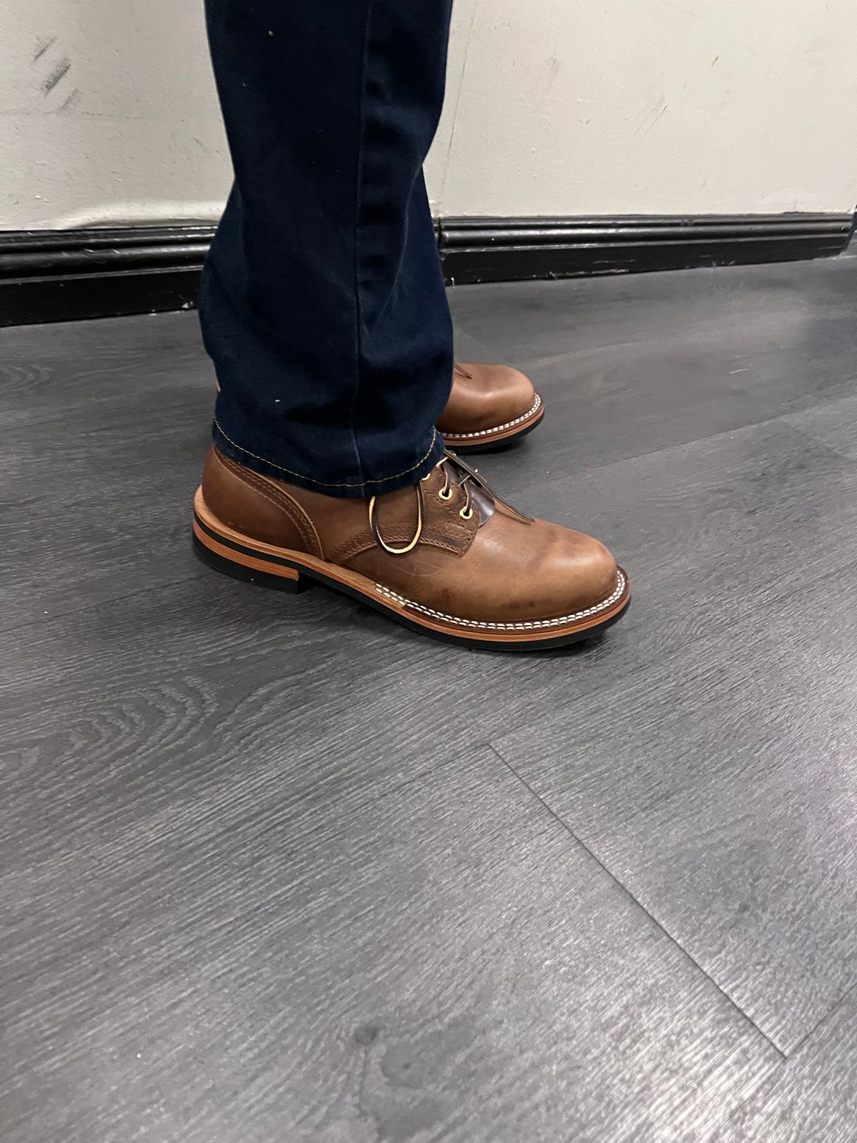 Photo by Snailchang on November 14, 2025 of the Nicks Falcon in Italian Brown Cypress.