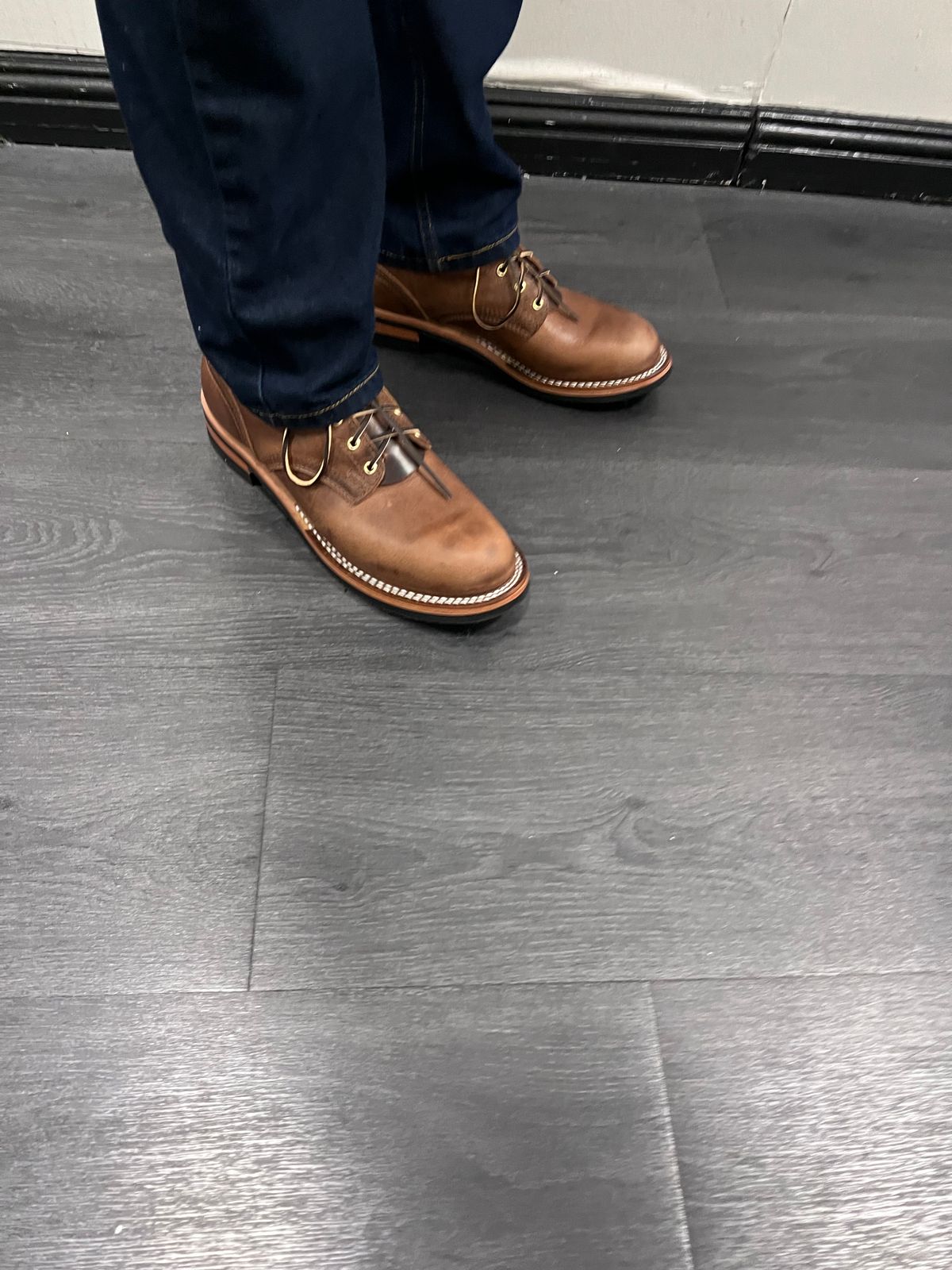 Photo by Snailchang on November 14, 2025 of the Nicks Falcon in Italian Brown Cypress.