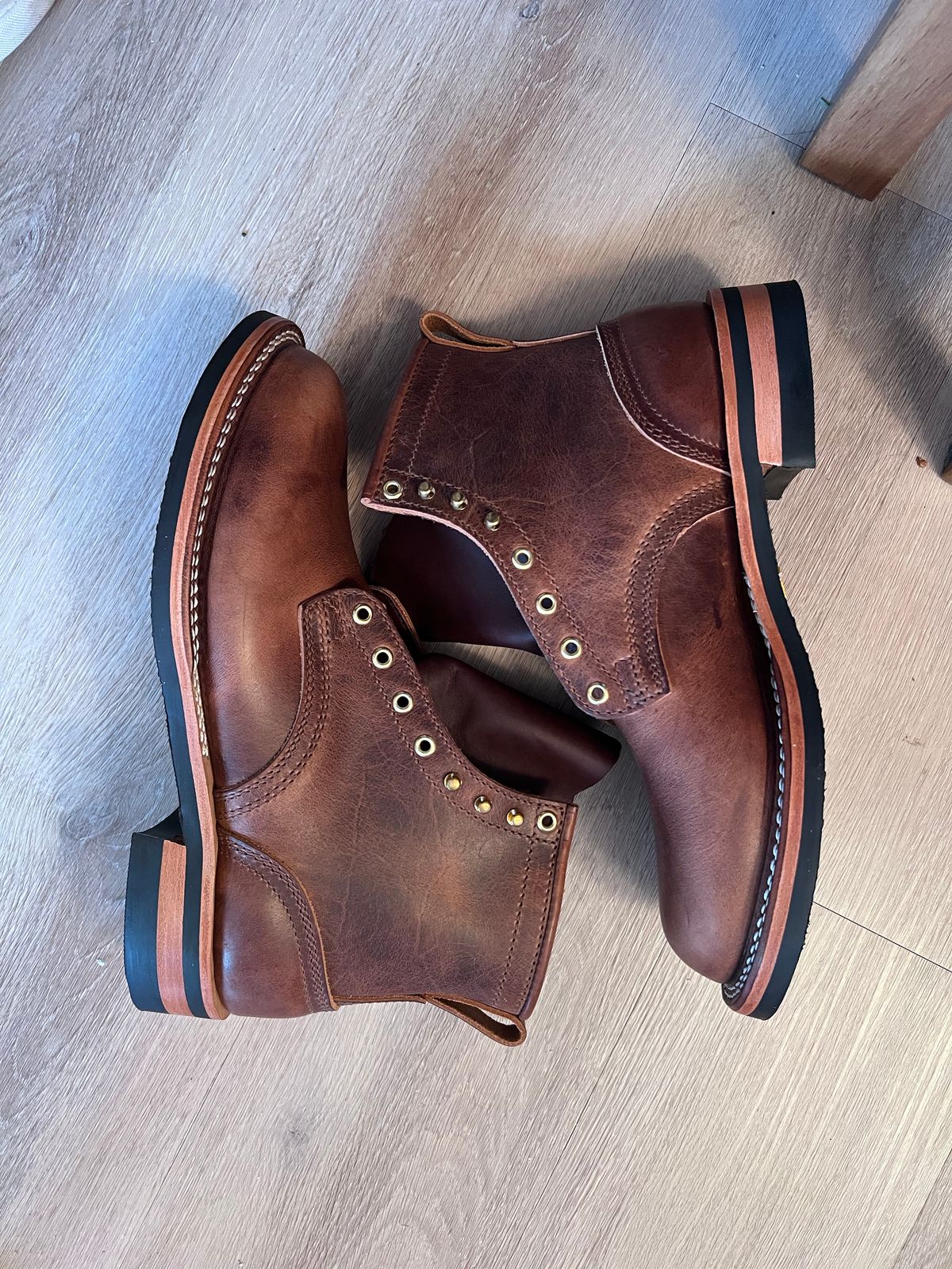 Photo by Snailchang on November 14, 2025 of the Nicks Falcon in Italian Brown Cypress.