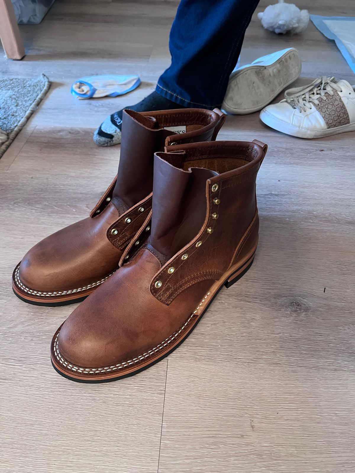 Photo by Snailchang on November 14, 2025 of the Nicks Falcon in Italian Brown Cypress.