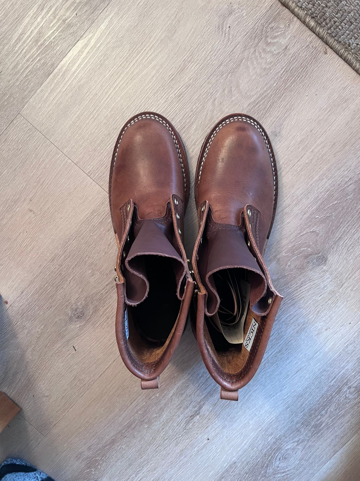 Photo by Snailchang on November 14, 2025 of the Nicks Falcon in Italian Brown Cypress.