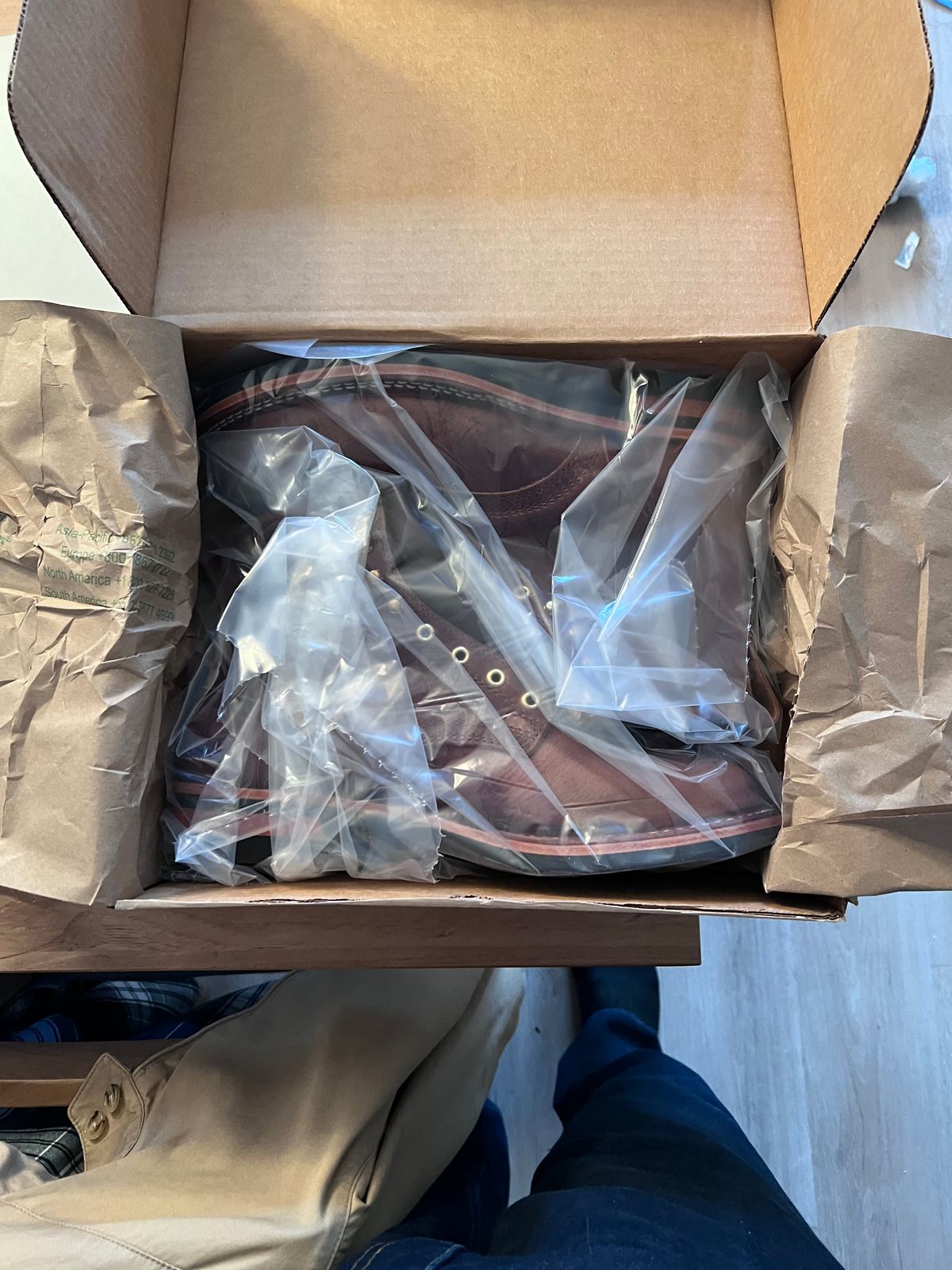 Photo by Snailchang on November 14, 2025 of the Nicks Falcon in Italian Brown Cypress.