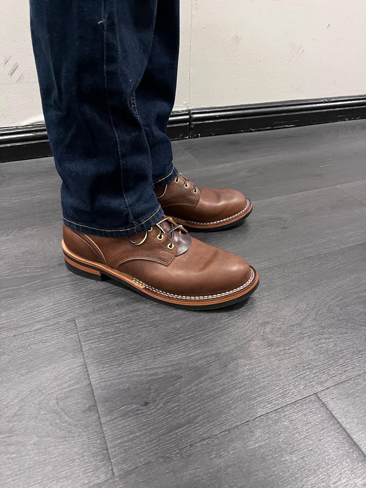 Photo by Snailchang on November 14, 2025 of the Nicks Falcon in Italian Brown Cypress.