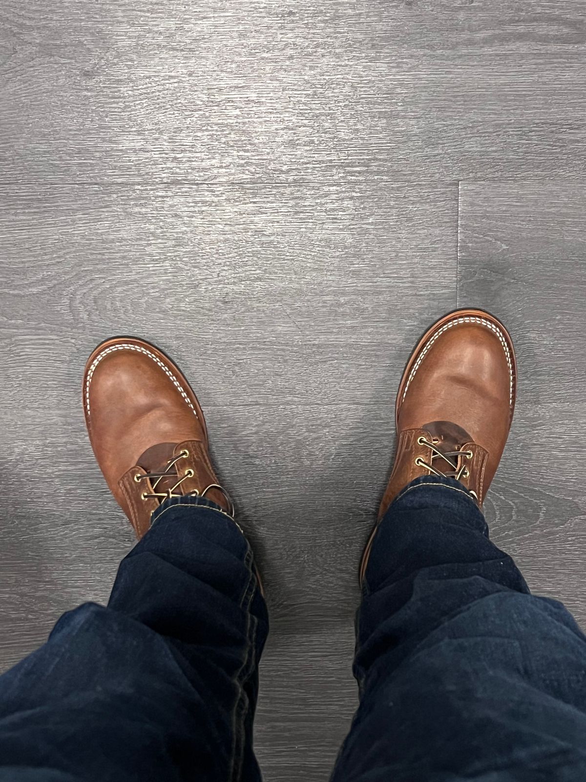 Photo by Snailchang on November 14, 2025 of the Nicks Falcon in Italian Brown Cypress.