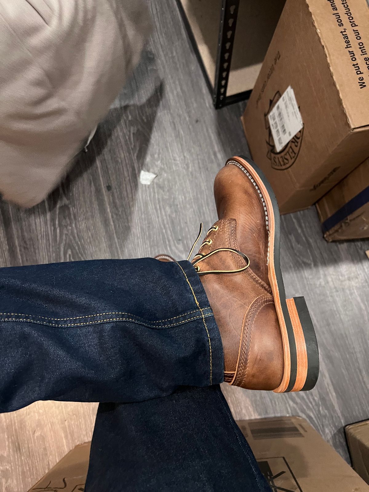 Photo by Snailchang on November 14, 2025 of the Nicks Falcon in Italian Brown Cypress.