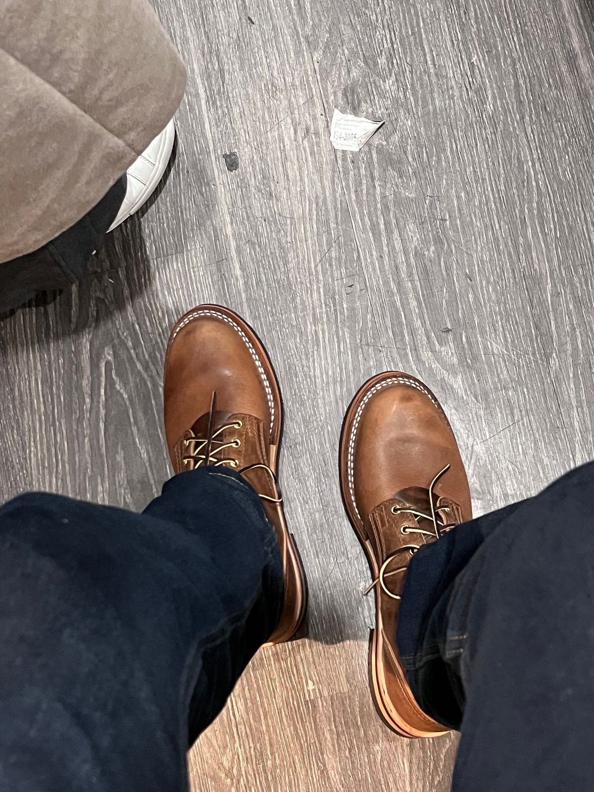 Photo by Snailchang on November 14, 2025 of the Nicks Falcon in Italian Brown Cypress.