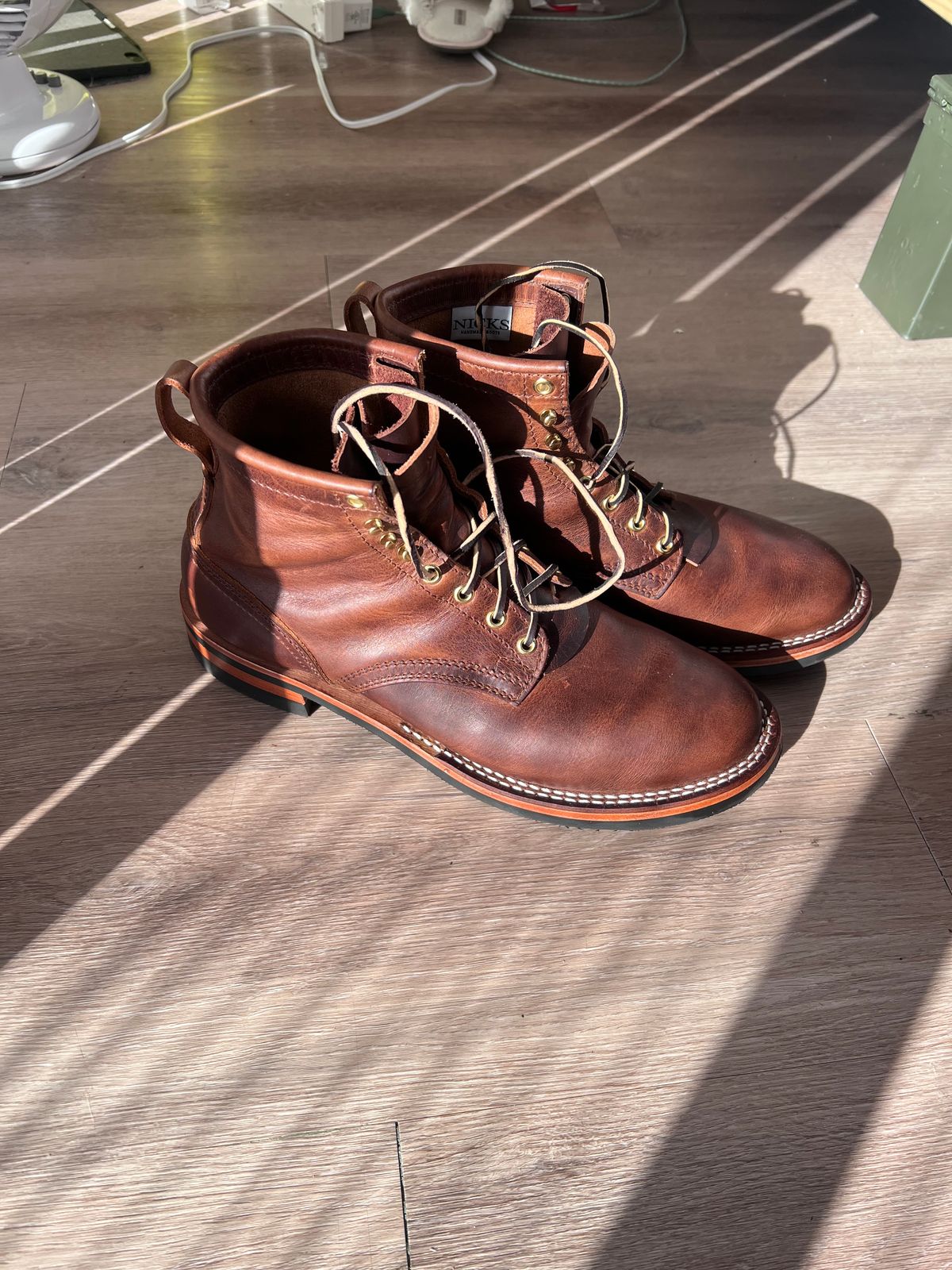 Photo by Snailchang on November 14, 2025 of the Nicks Falcon in Italian Brown Cypress.