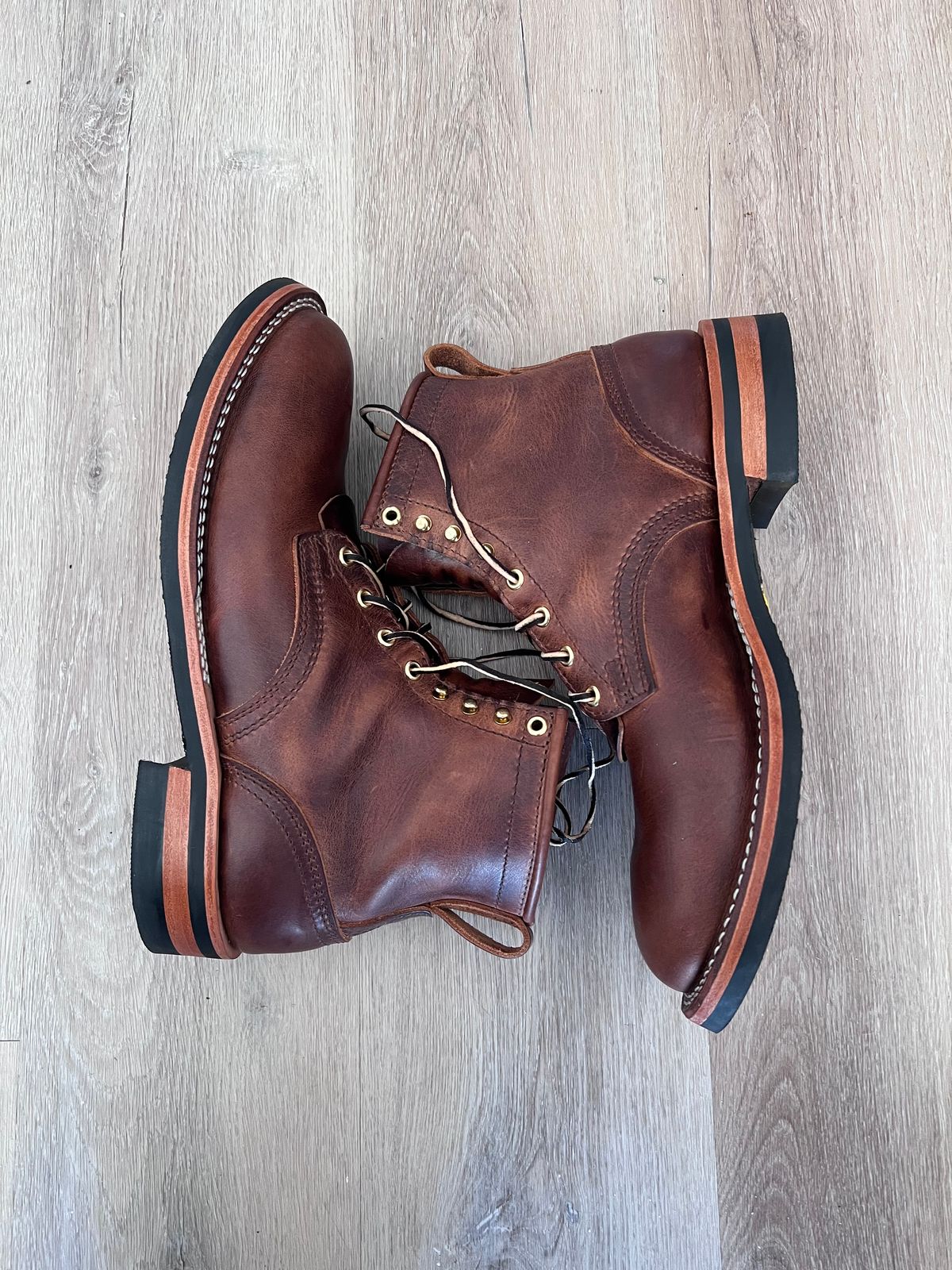 Photo by Snailchang on November 14, 2025 of the Nicks Falcon in Italian Brown Cypress.