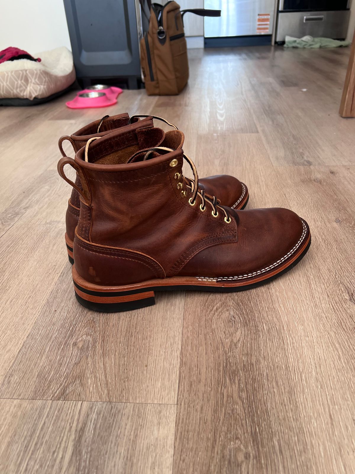 Photo by Snailchang on November 14, 2025 of the Nicks Falcon in Italian Brown Cypress.