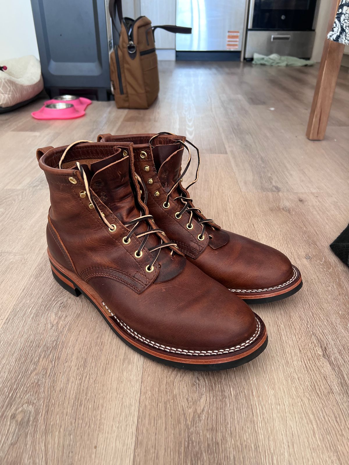 Photo by Snailchang on November 14, 2025 of the Nicks Falcon in Italian Brown Cypress.