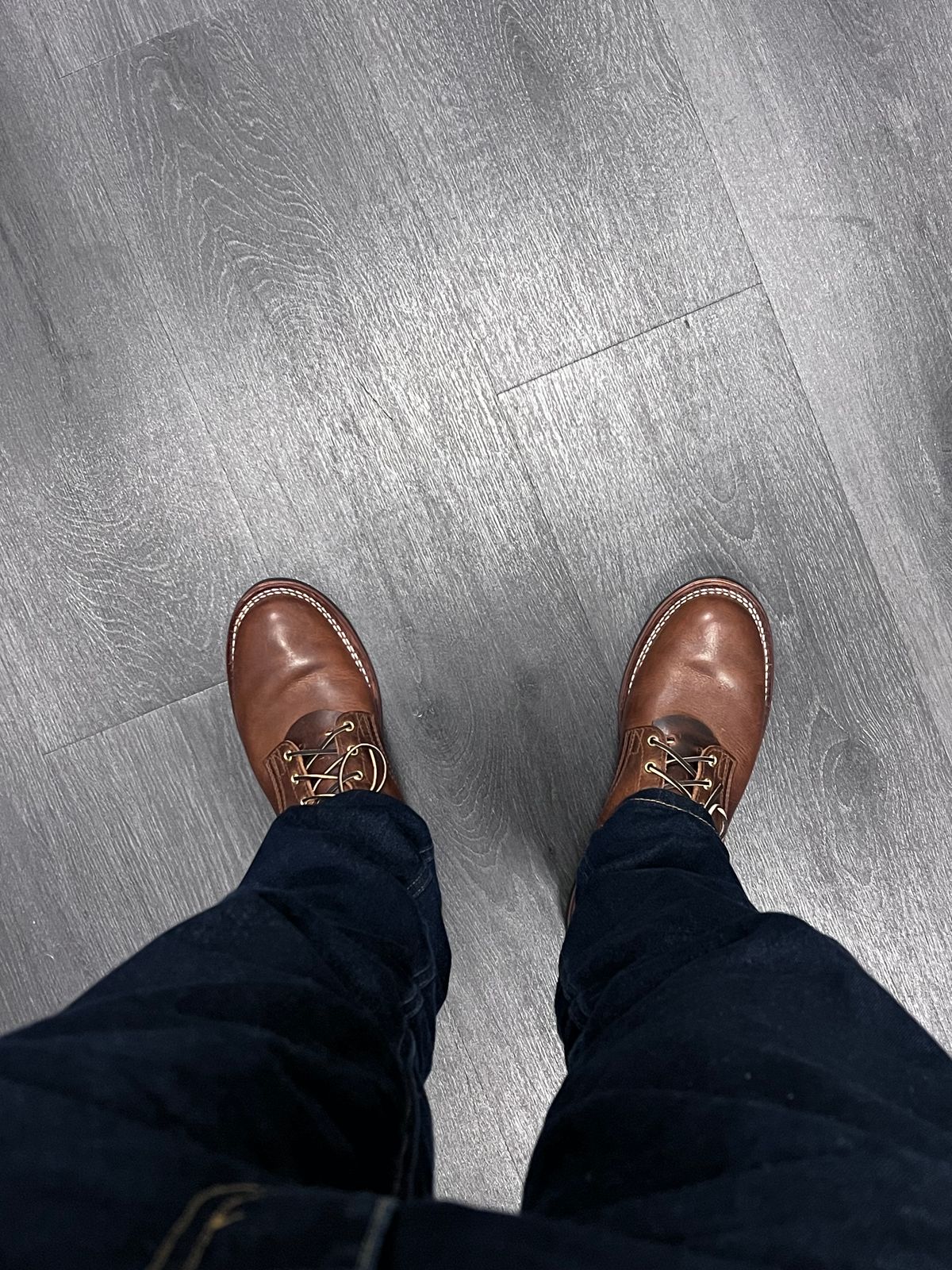 Photo by Snailchang on November 20, 2025 of the Nicks Falcon in Italian Brown Cypress.