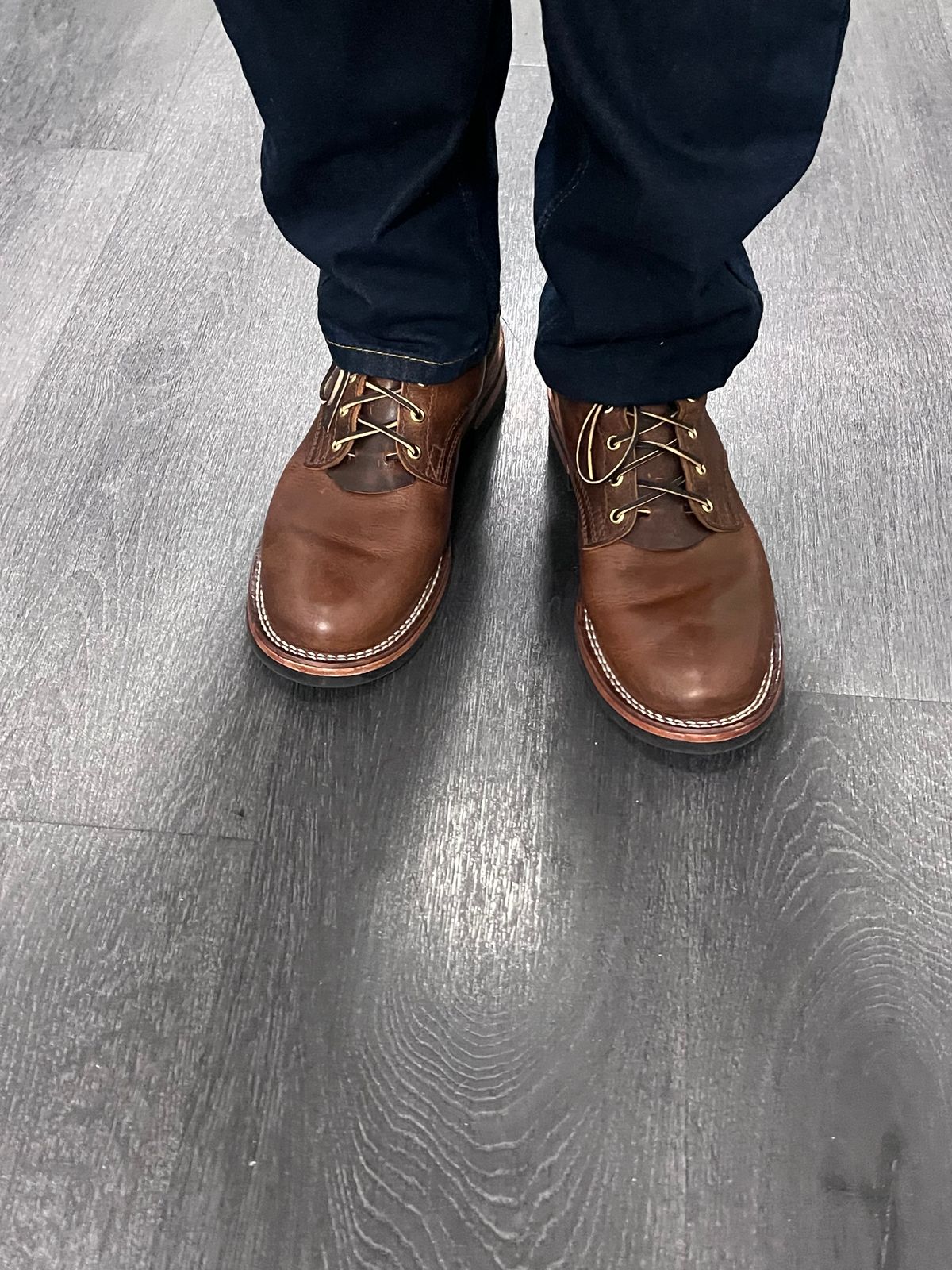 Photo by Snailchang on November 20, 2025 of the Nicks Falcon in Italian Brown Cypress.