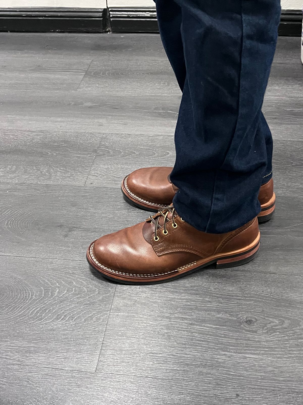 Photo by Snailchang on November 20, 2025 of the Nicks Falcon in Italian Brown Cypress.