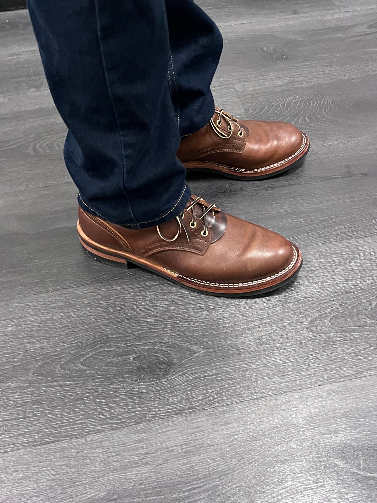 Photo by Snailchang on November 20, 2025 of the Nicks Falcon in Italian Brown Cypress.