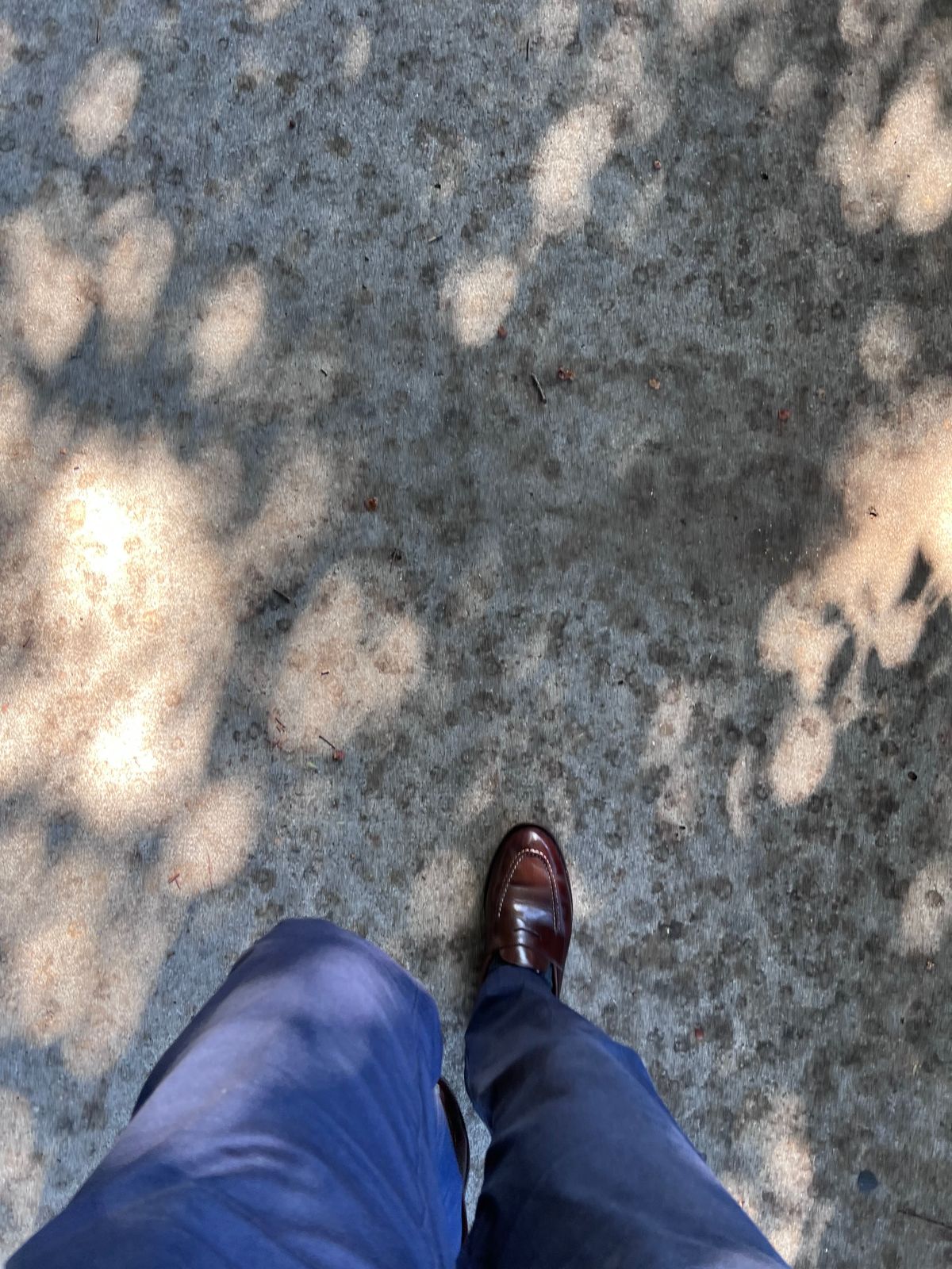 Photo by Snailchang on January 11, 2025 of the Grant Stone Traveler Penny in Horween Crimson Chromexcel.