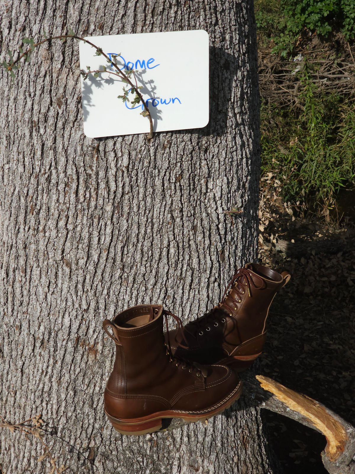 Photo by fozzie_the_bear on November 4, 2023 of the Nicks DomePro in Horween British Tan Chromexcel.