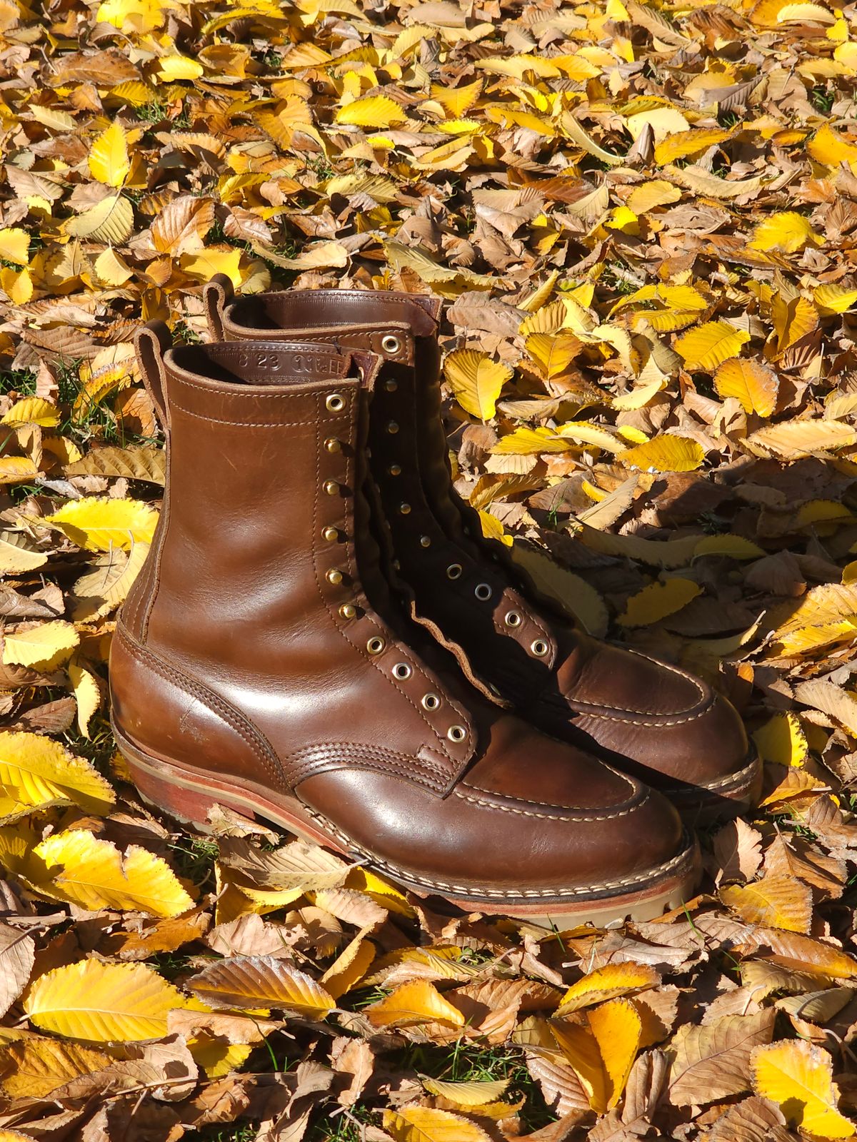 Photo by fozzie_the_bear on December 4, 2023 of the Nicks DomePro in Horween British Tan Chromexcel.