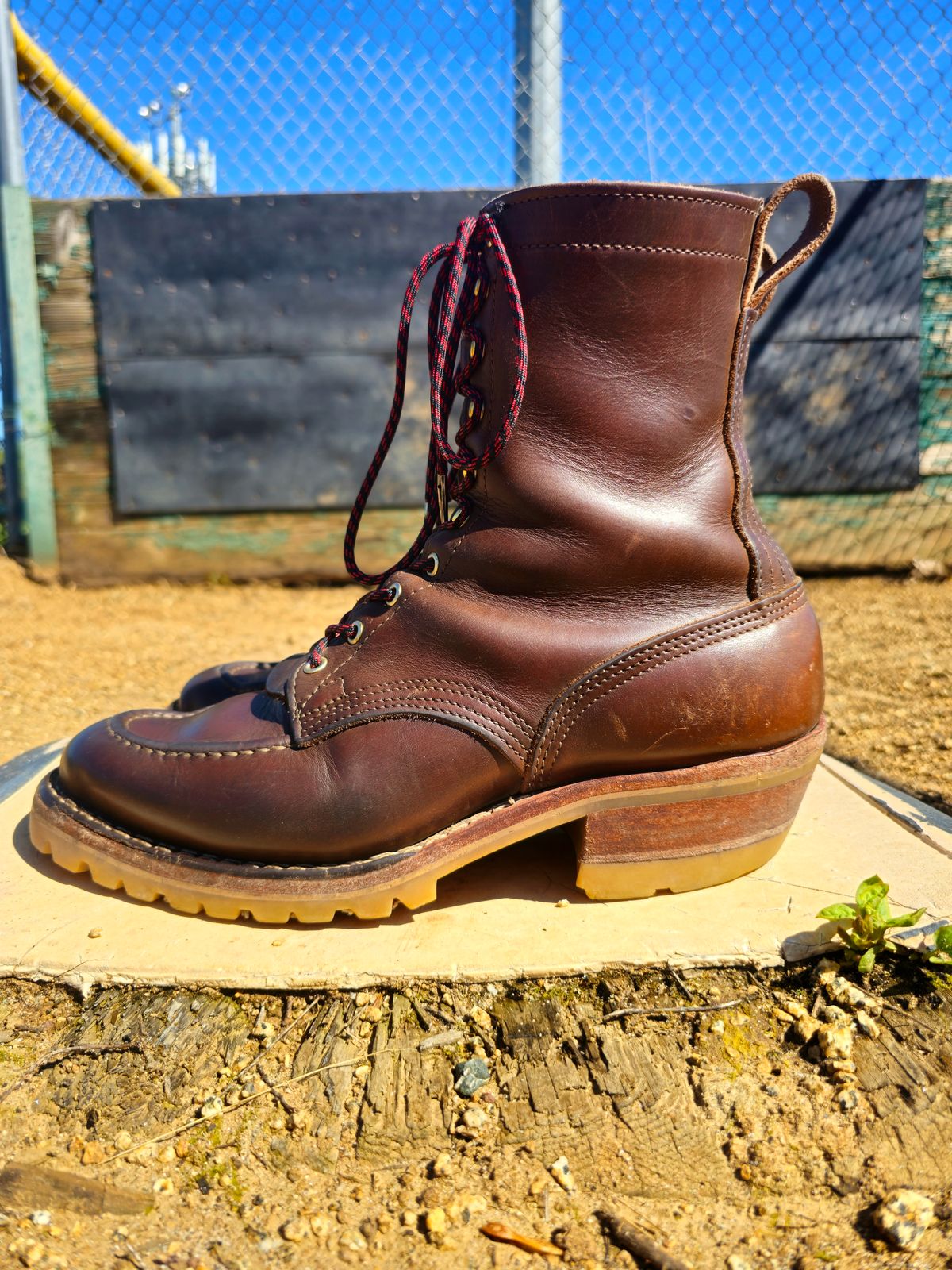 Photo by fozzie_the_bear on April 4, 2024 of the Nicks DomePro in Horween British Tan Chromexcel.