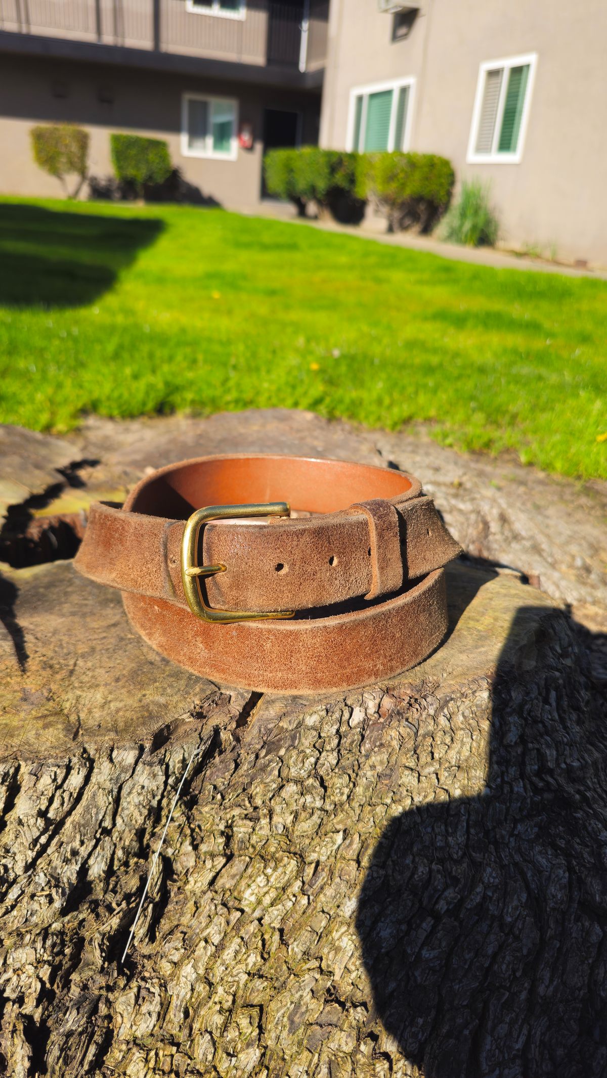 Photo by fozzie_the_bear on March 2, 2026 of the Nicks Work Belt in Seidel 1964 Tan Roughout.
